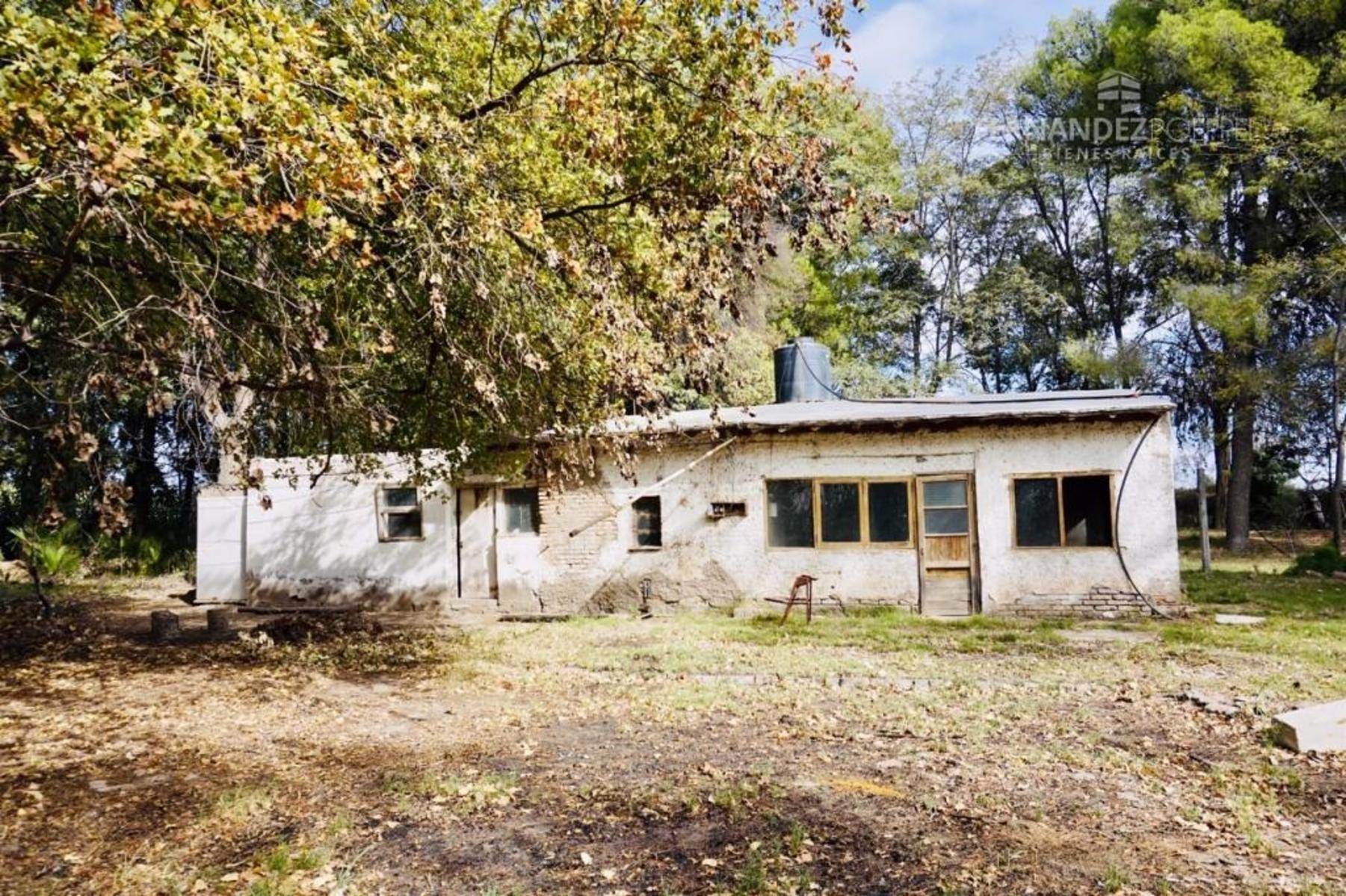 SE VENDE Finca Campo 8,4 Ha Las Catitas Santa Rosa sobre Acceso Este - 14
