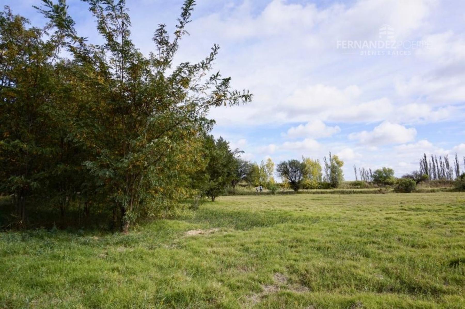 SE VENDE Finca Campo 8,4 Ha Las Catitas Santa Rosa sobre Acceso Este - 15
