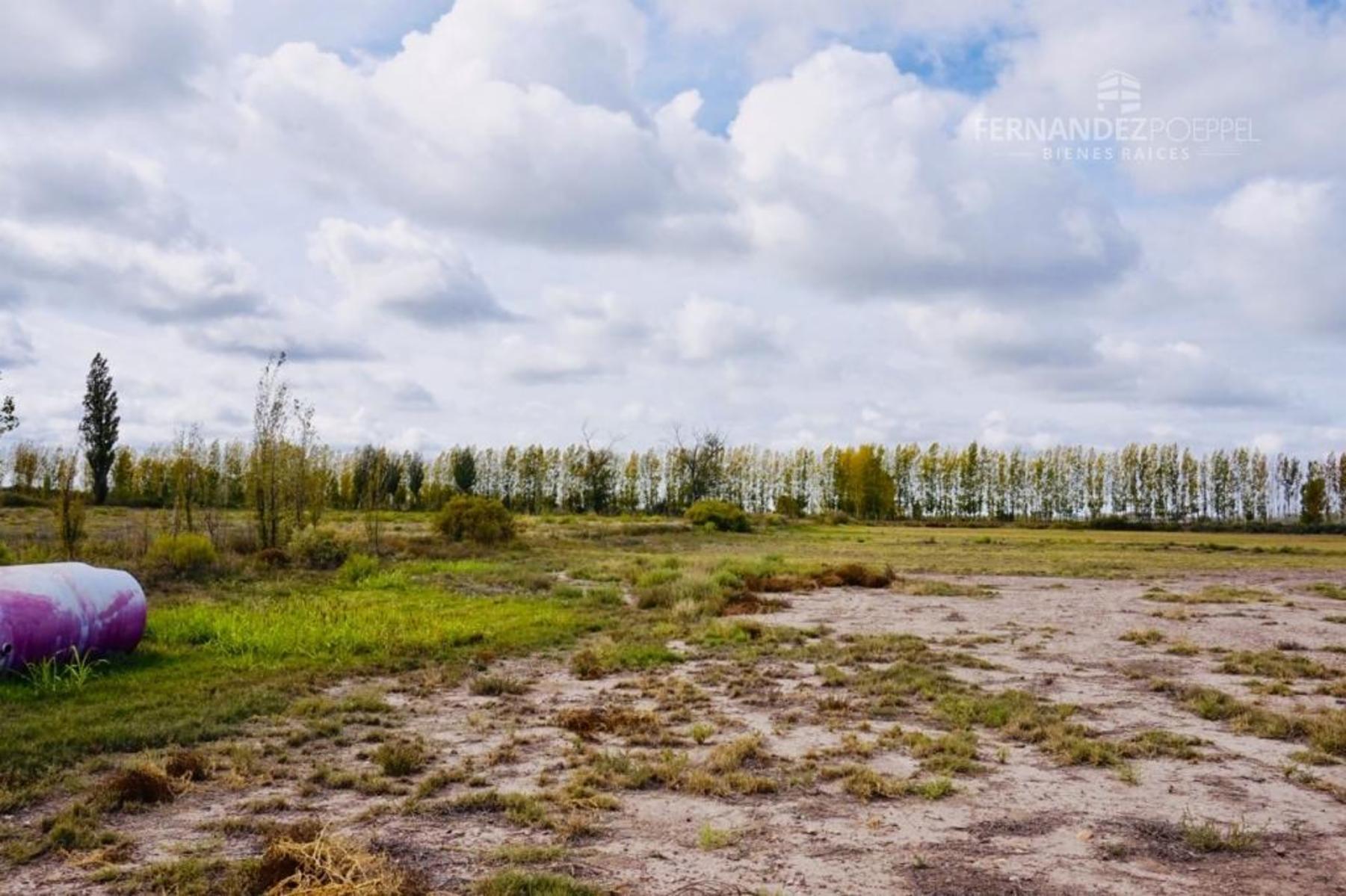 SE VENDE Finca Campo 8,4 Ha Las Catitas Santa Rosa sobre Acceso Este - 17
