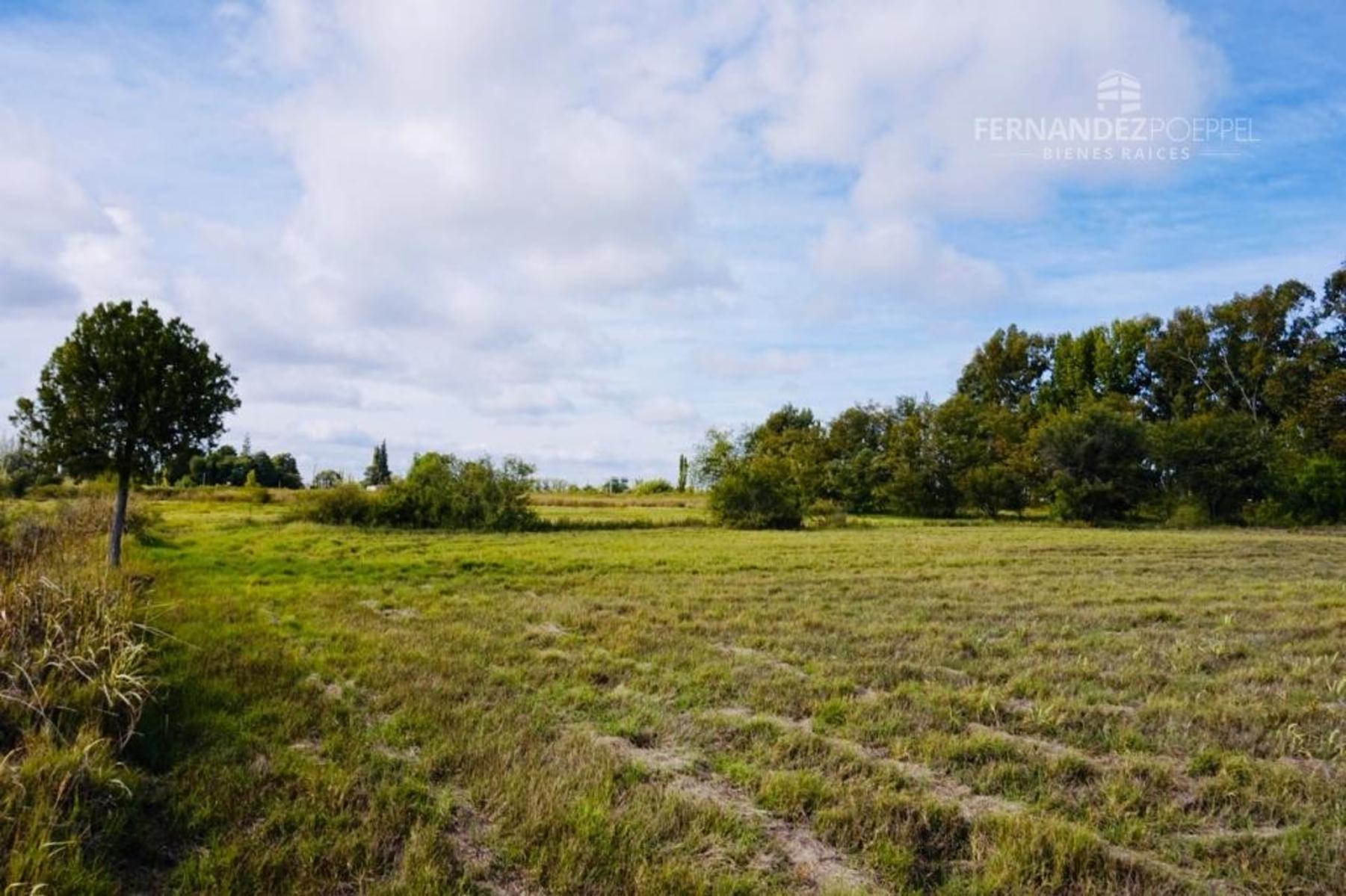 SE VENDE Finca Campo 8,4 Ha Las Catitas Santa Rosa sobre Acceso Este - 20
