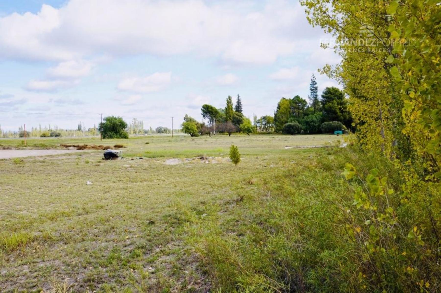 SE VENDE Finca Campo 8,4 Ha Las Catitas Santa Rosa sobre Acceso Este - 21