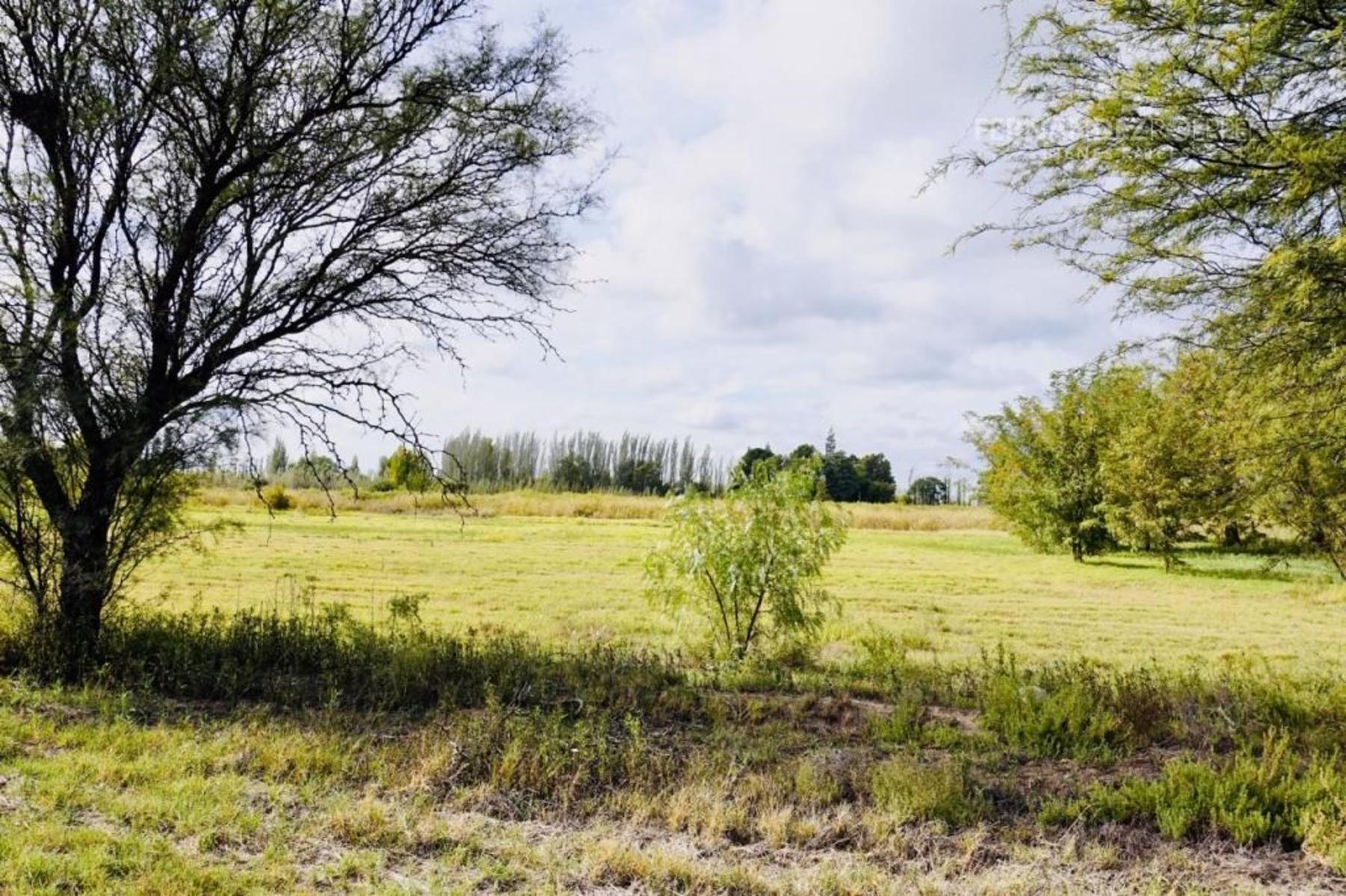SE VENDE Finca Campo 8,4 Ha Las Catitas Santa Rosa sobre Acceso Este - 23