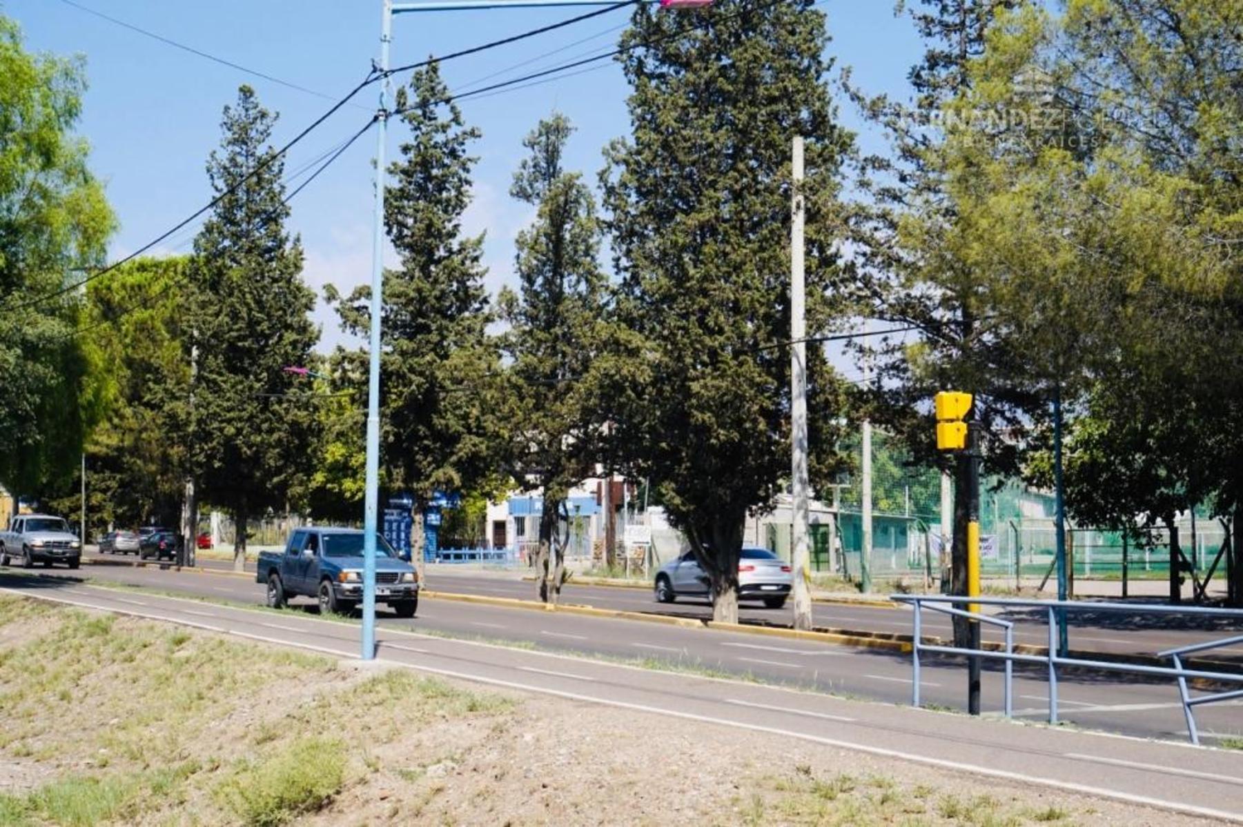 SE ALQUILA Local Comercial Dos Pisos 170 m2 Ruta Panamericana Palmares - 15