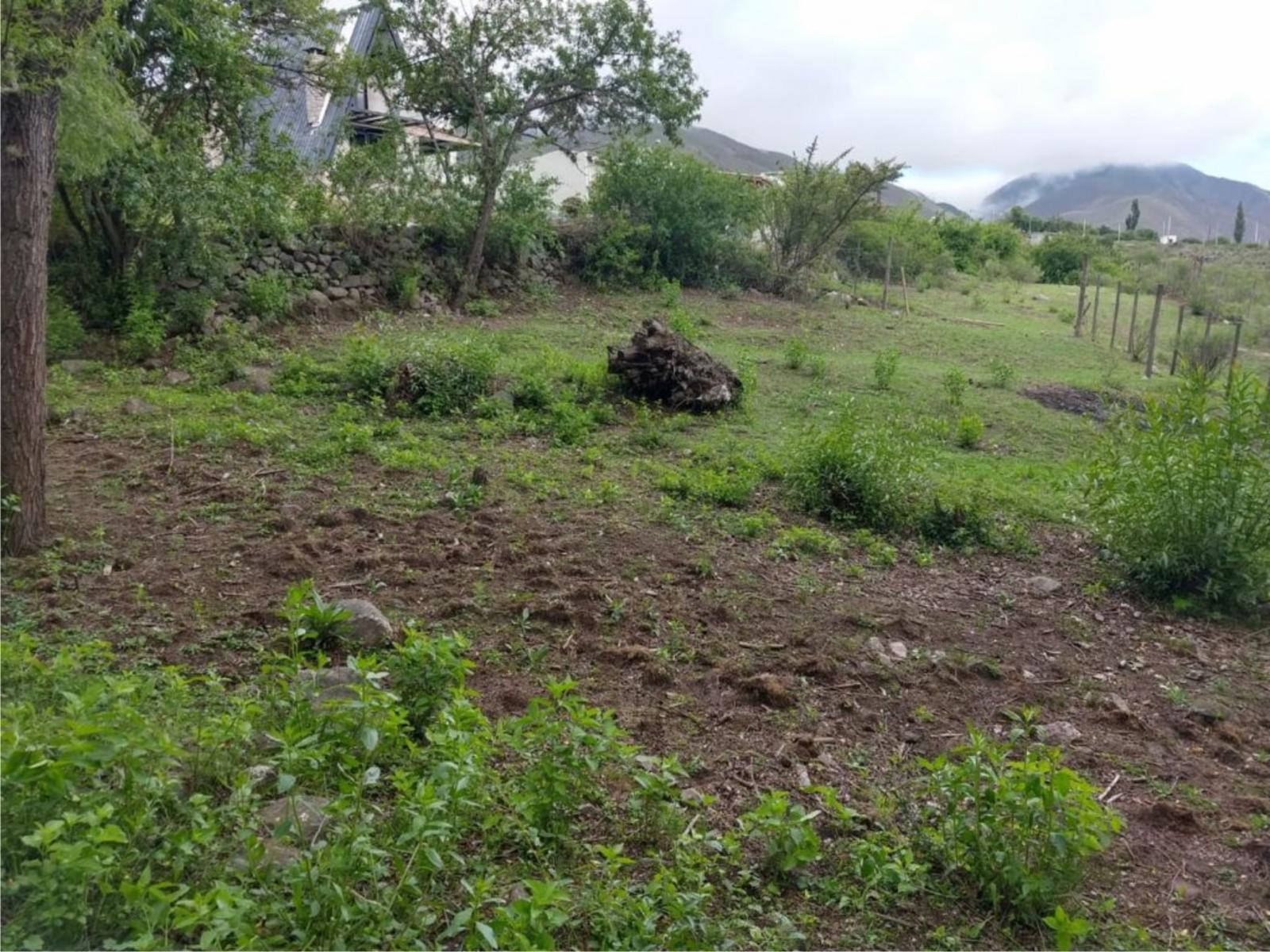 TERRENO-COSTAS 2-TAFI DEL VALLE — foto 2