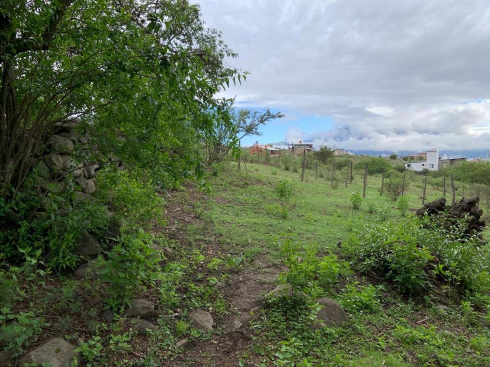 TERRENO-COSTAS 2-TAFI DEL VALLE — foto 3