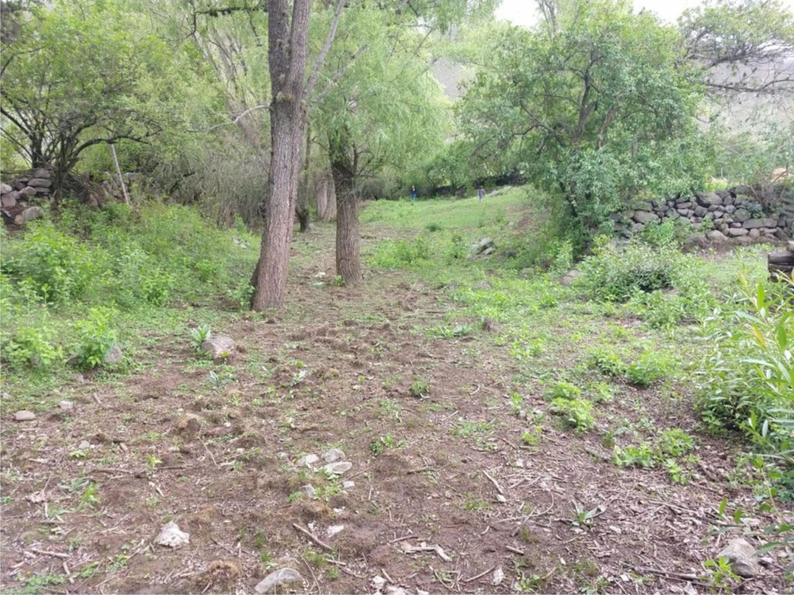 TERRENO-COSTAS 2-TAFI DEL VALLE — foto 4