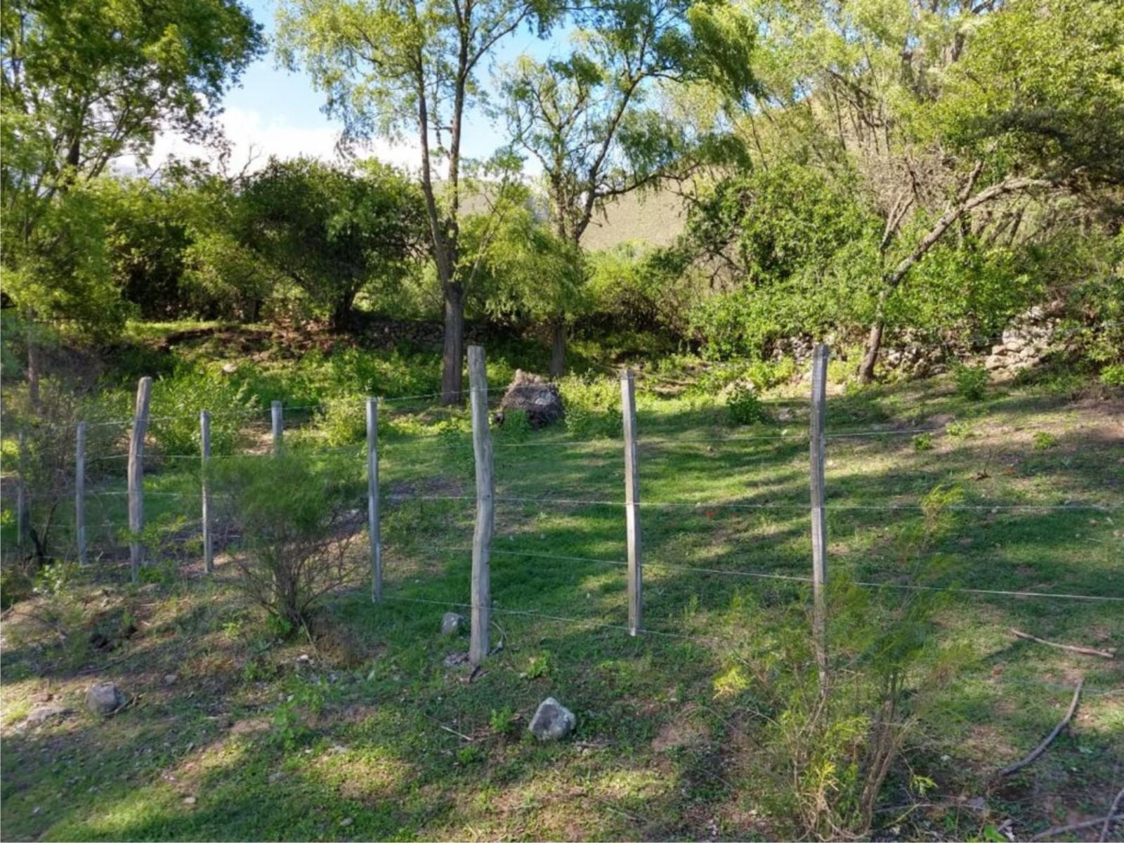 TERRENO-COSTAS 2-TAFI DEL VALLE — foto 6