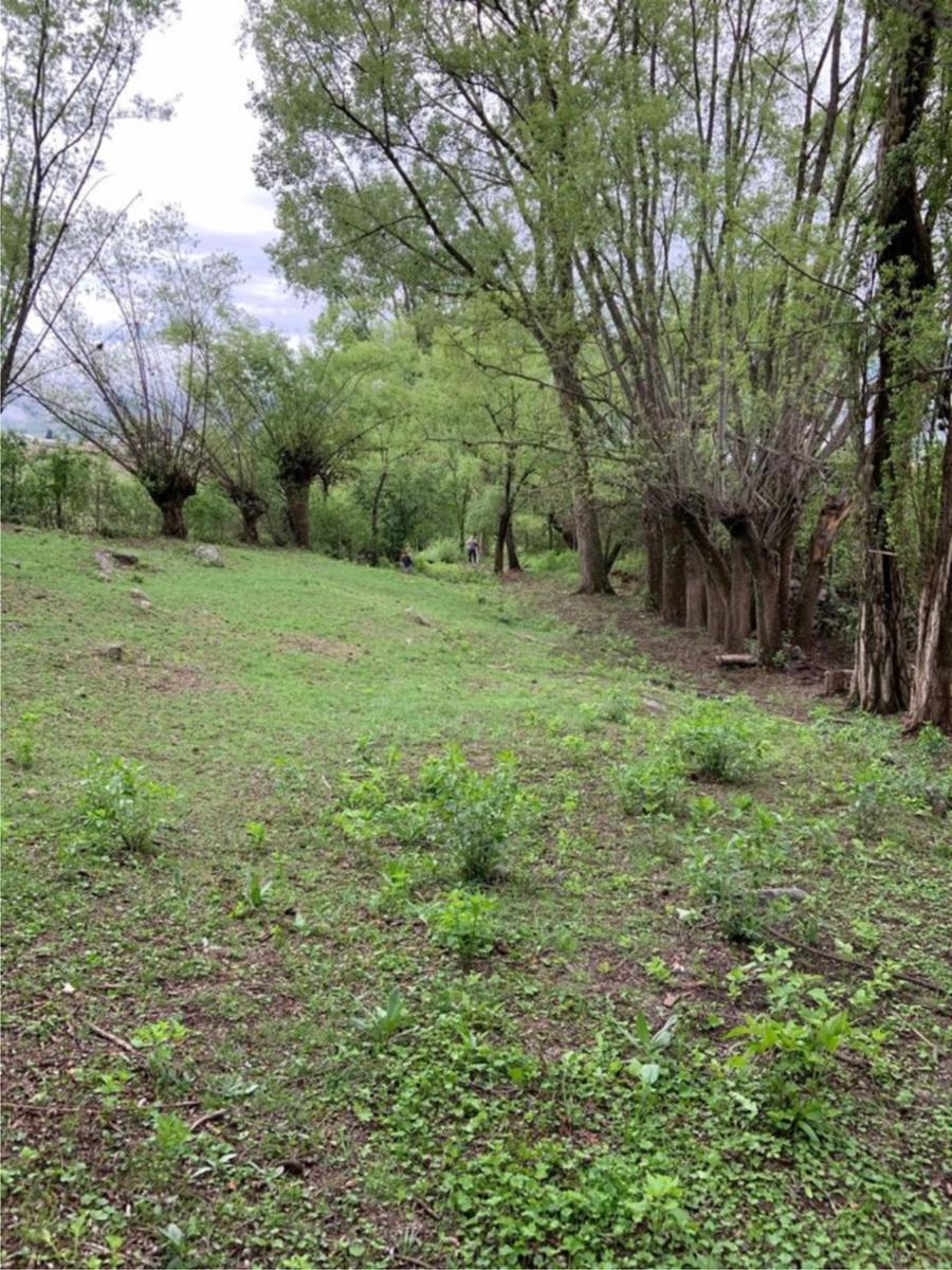 TERRENO-COSTAS 2-TAFI DEL VALLE — foto 7
