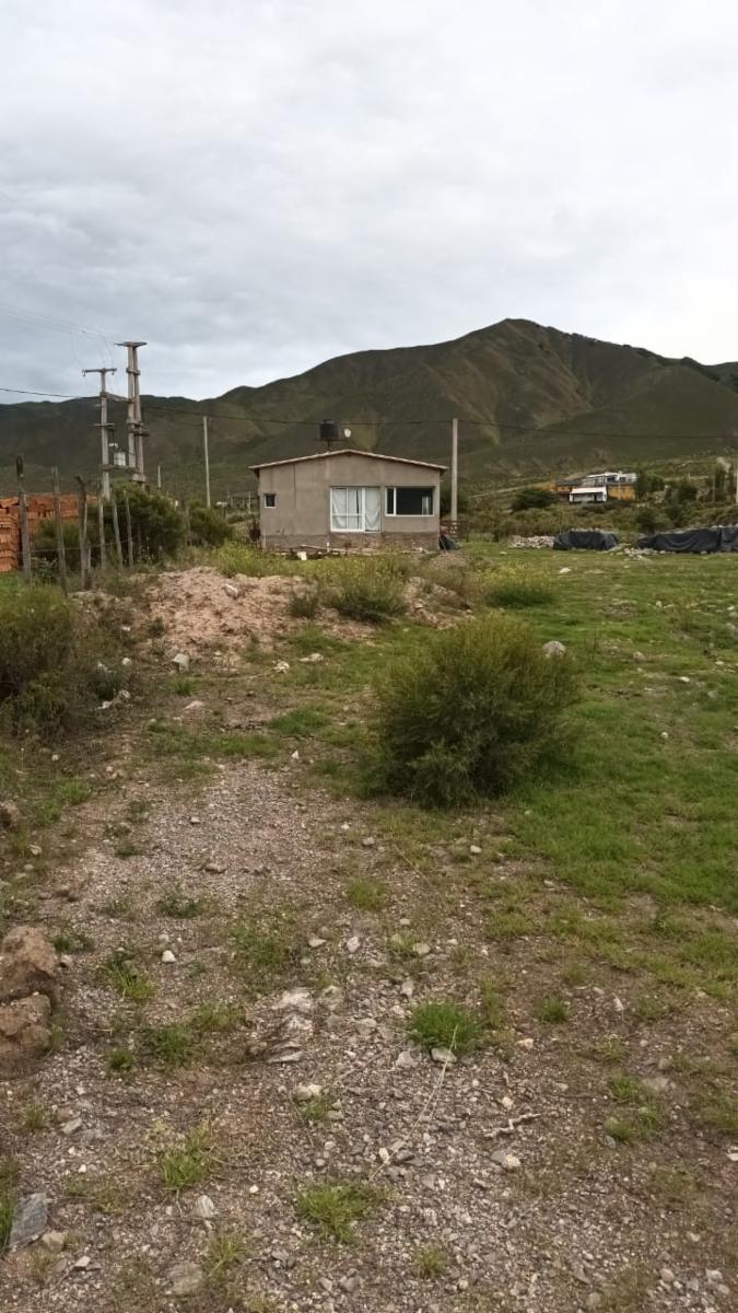 LOS ALISOS-TAFI DEL VALLE-5000M2-CABAÑA — foto 5