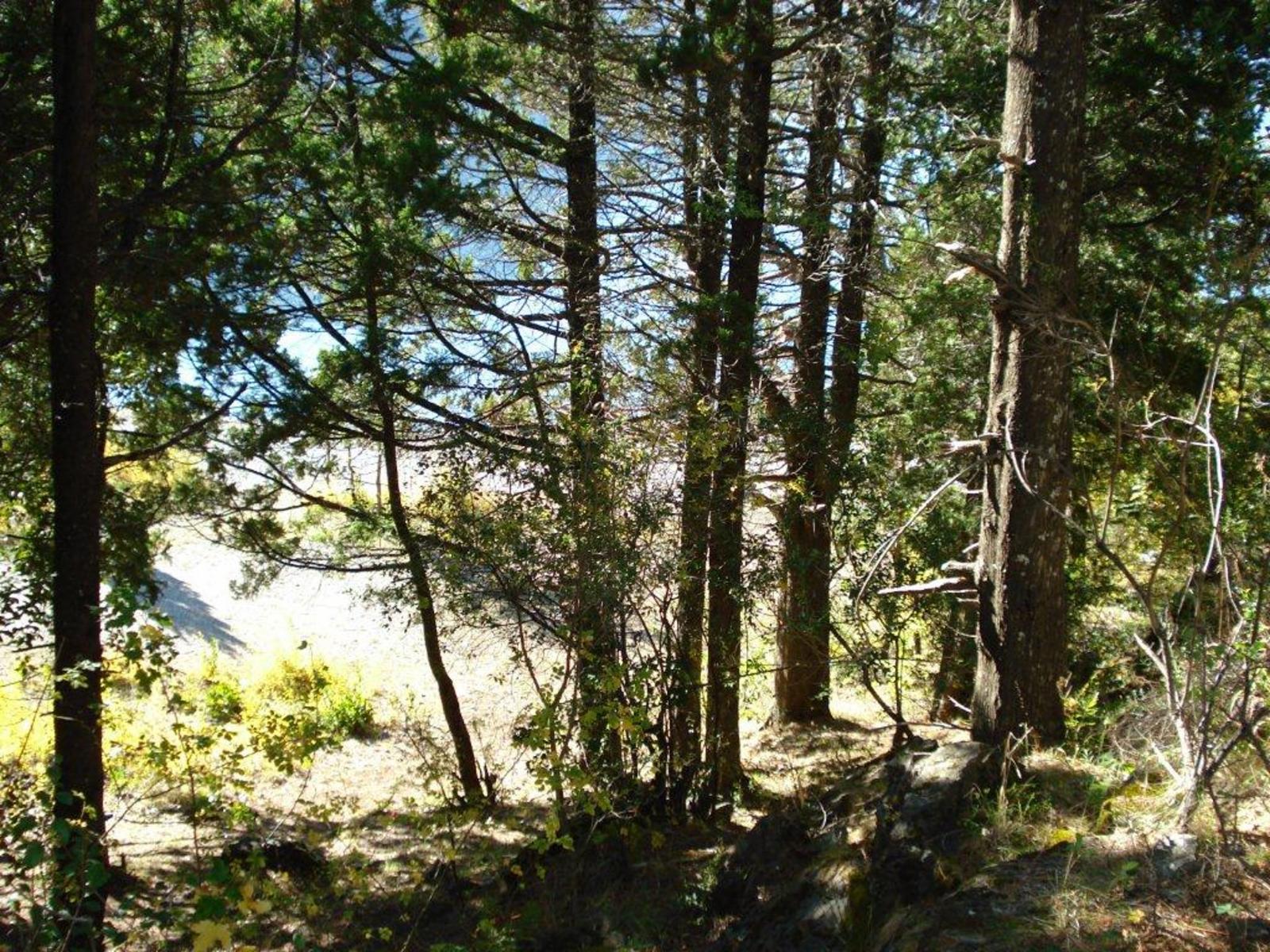 Parcela de 2,5ha en Lago Gutierrez, INCREÍBLE OPORTUNIDAD ivnersores Proyecto camping — foto 3