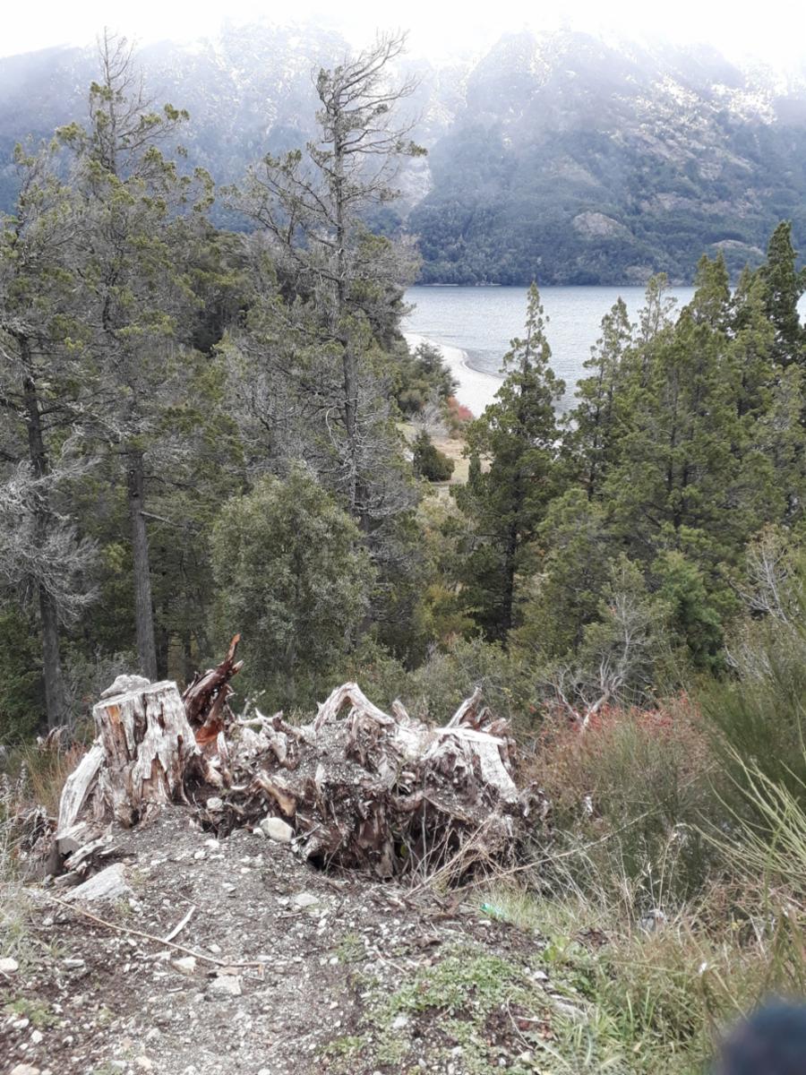 Parcela de 2,5ha en Lago Gutierrez, INCREÍBLE OPORTUNIDAD ivnersores Proyecto camping — foto 4