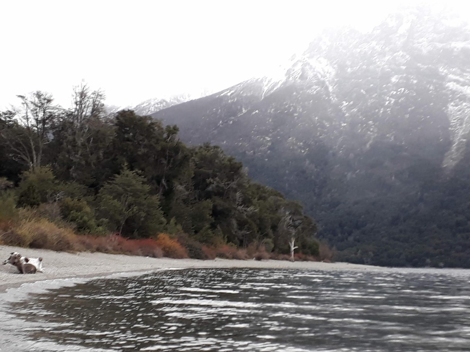 Parcela de 2,5ha en Lago Gutierrez, INCREÍBLE OPORTUNIDAD ivnersores Proyecto camping — foto 5