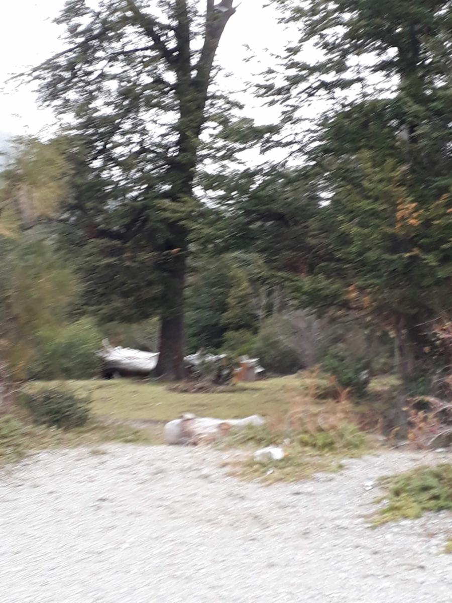 Parcela de 2,5ha en Lago Gutierrez, INCREÍBLE OPORTUNIDAD ivnersores Proyecto camping — foto 6