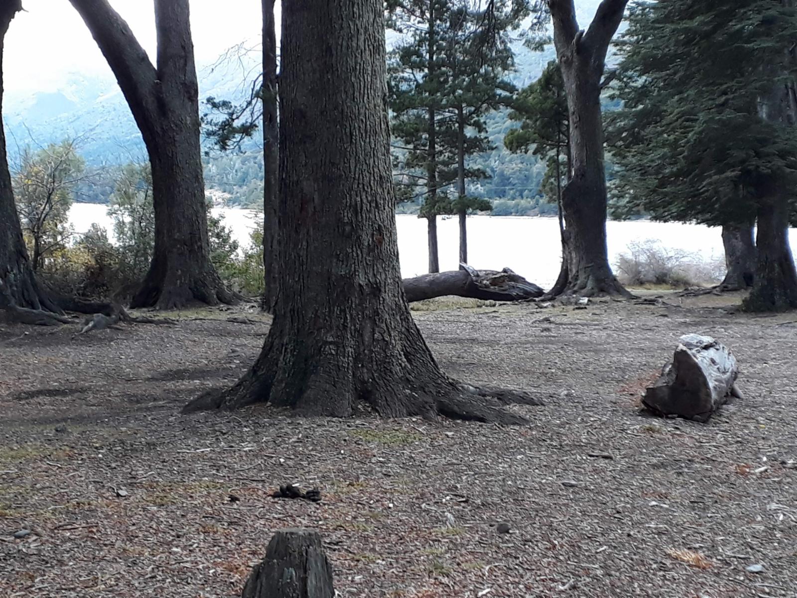Parcela de 2,5ha en Lago Gutierrez, INCREÍBLE OPORTUNIDAD ivnersores Proyecto camping — foto 7