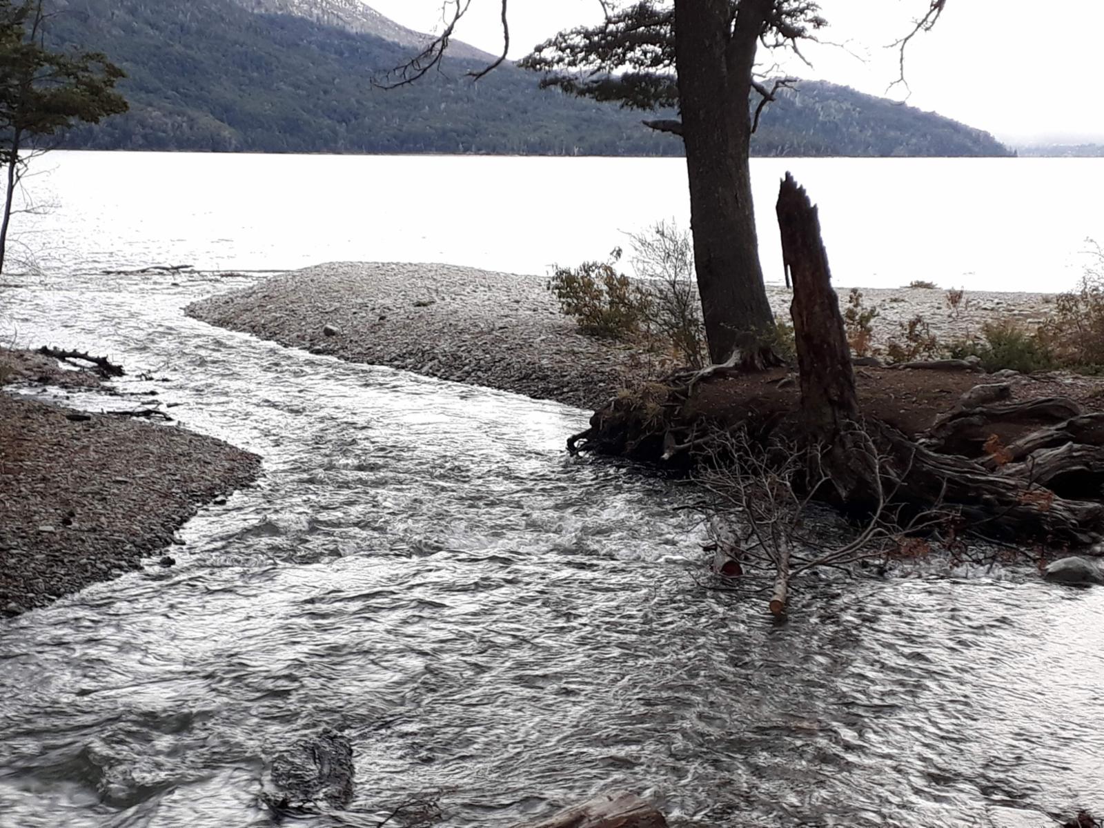 Parcela de 2,5ha en Lago Gutierrez, INCREÍBLE OPORTUNIDAD ivnersores Proyecto camping — foto 10