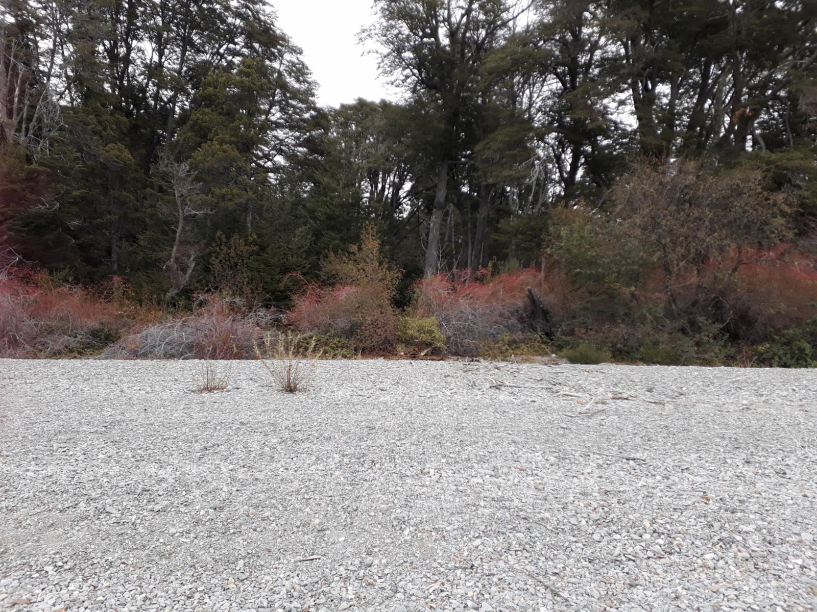 Parcela de 2,5ha en Lago Gutierrez, INCREÍBLE OPORTUNIDAD ivnersores Proyecto camping — foto 11