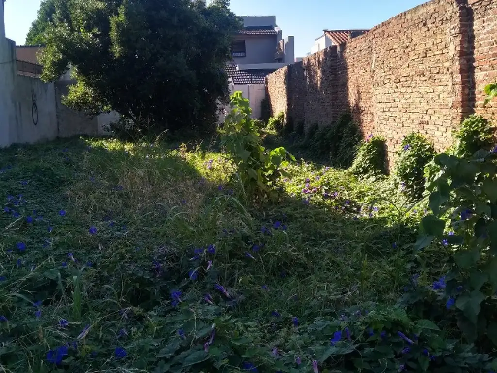 Lote 10x25 mts en Ramos Mejía Sur - 3