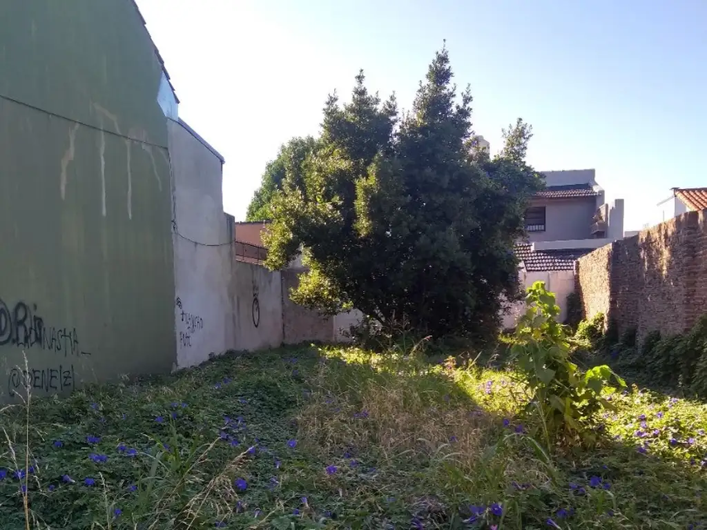Lote 10x25 mts en Ramos Mejía Sur - 5