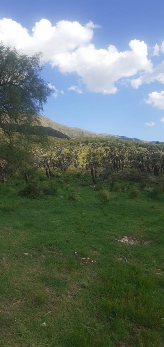 Espectacular Campo 24 Has. Papagayos San Luis - 3