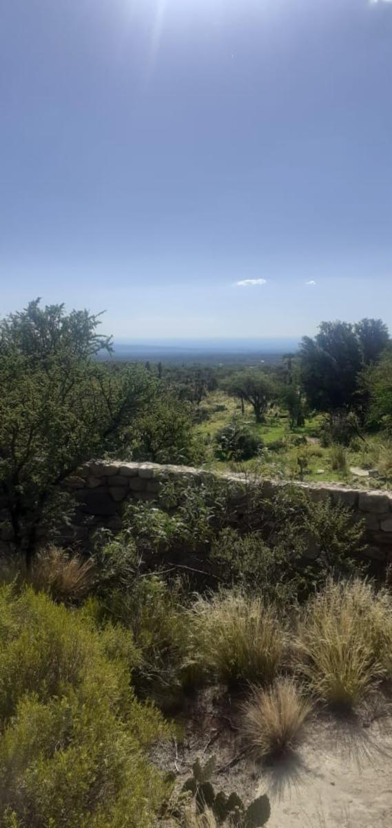 Espectacular Campo 24 Has. Papagayos San Luis - 5