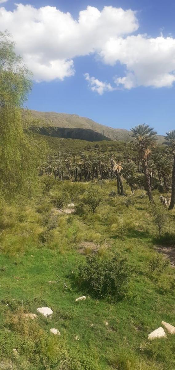 Espectacular Campo 24 Has. Papagayos San Luis - 6
