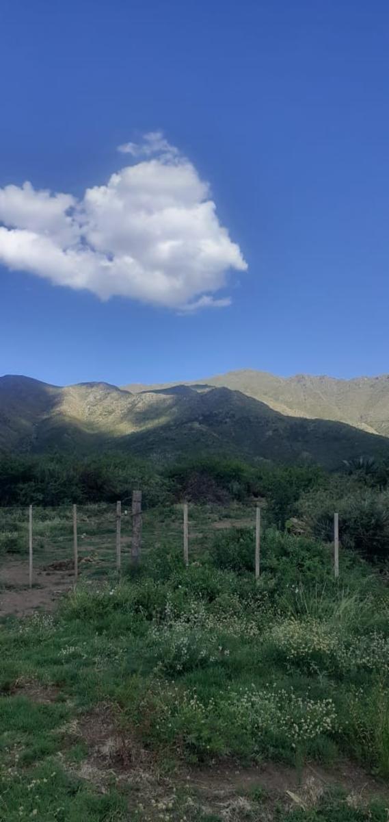 Espectacular Campo 24 Has. Papagayos San Luis - 7