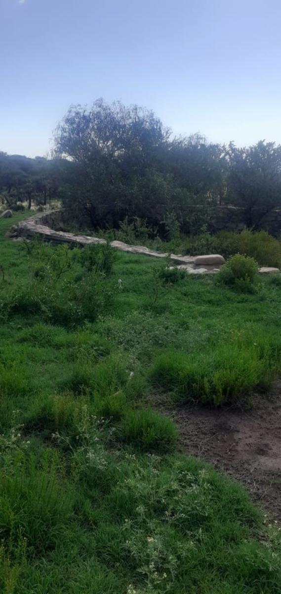 Espectacular Campo 24 Has. Papagayos San Luis - 9
