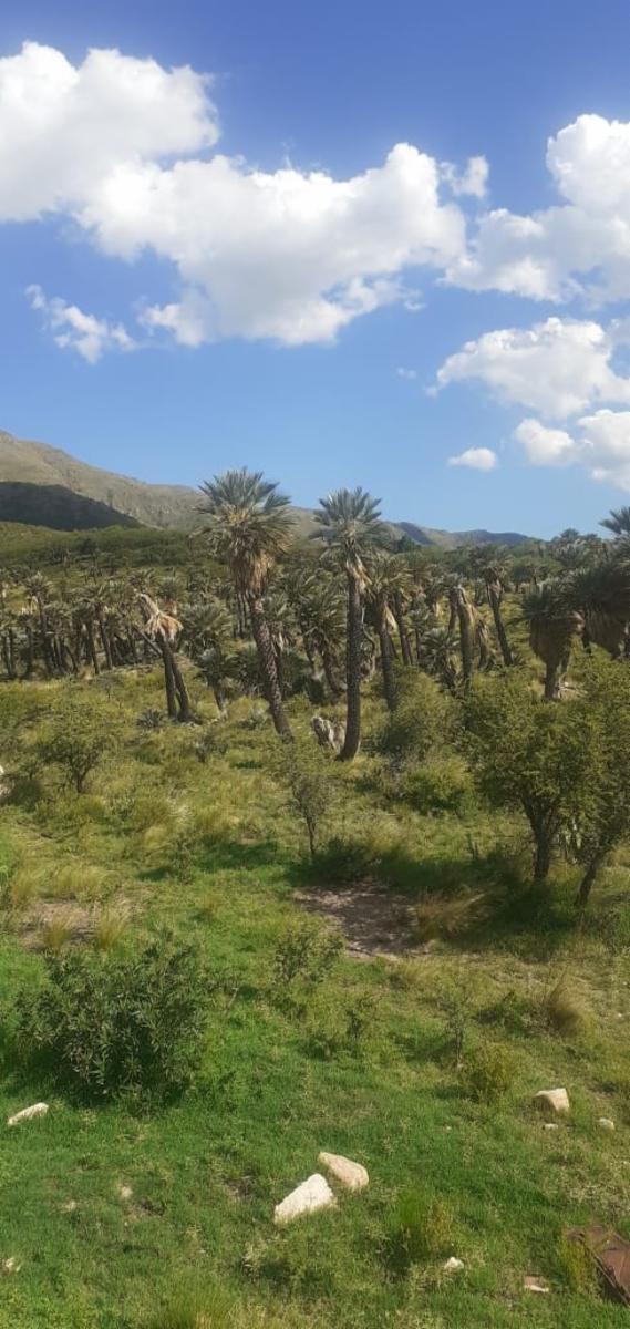 Espectacular Campo 24 Has. Papagayos San Luis - 10