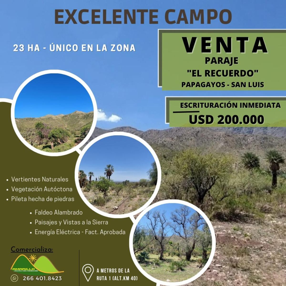 Espectacular Campo 24 Has. Papagayos San Luis - 11