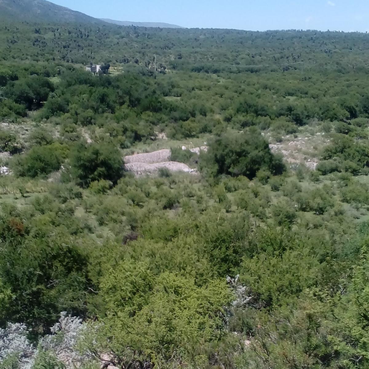Lote en Papagayos, ideal emprendimiento - 2