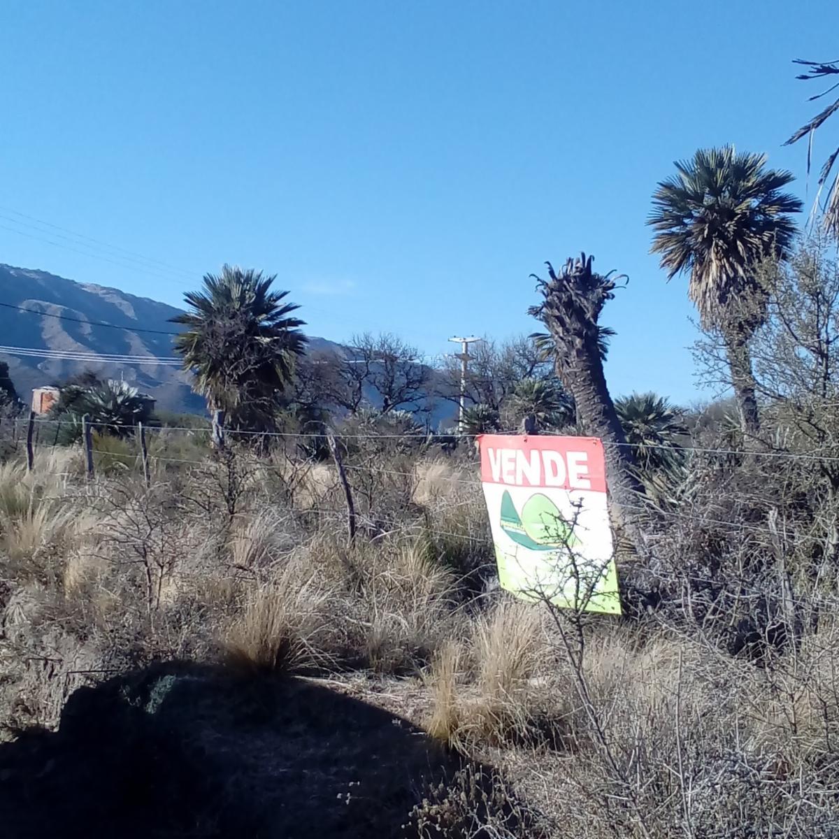 Lote de 4000 m2 en Papagayos - 1
