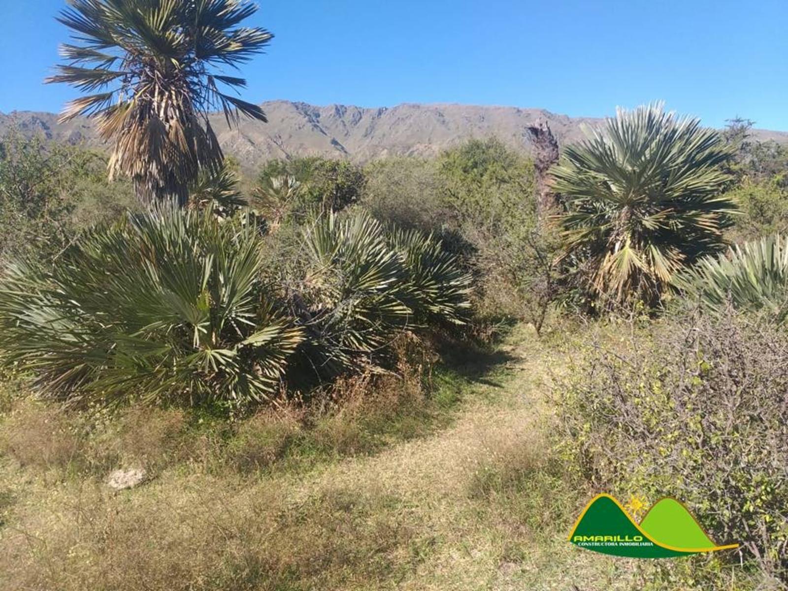 OPORTUNIDAD TERRENO EN PAPAGAYOS - 1