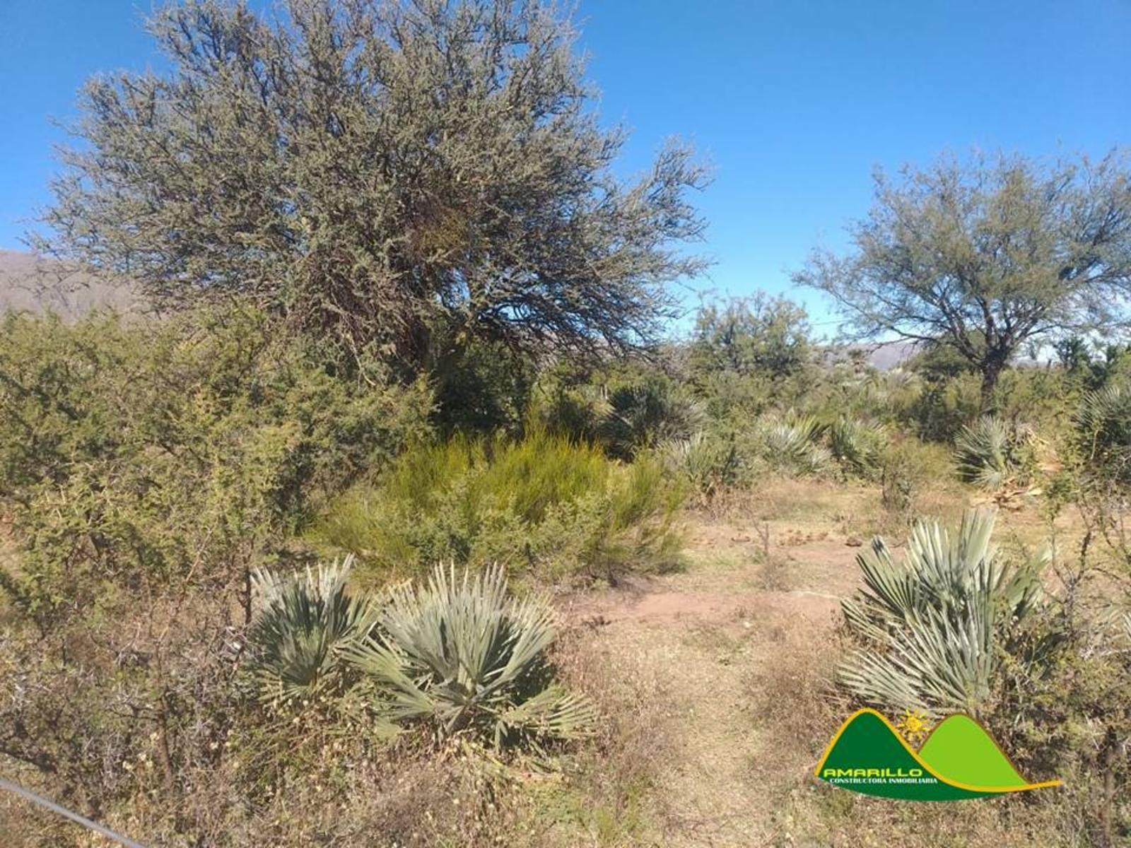 OPORTUNIDAD TERRENO EN PAPAGAYOS - 3