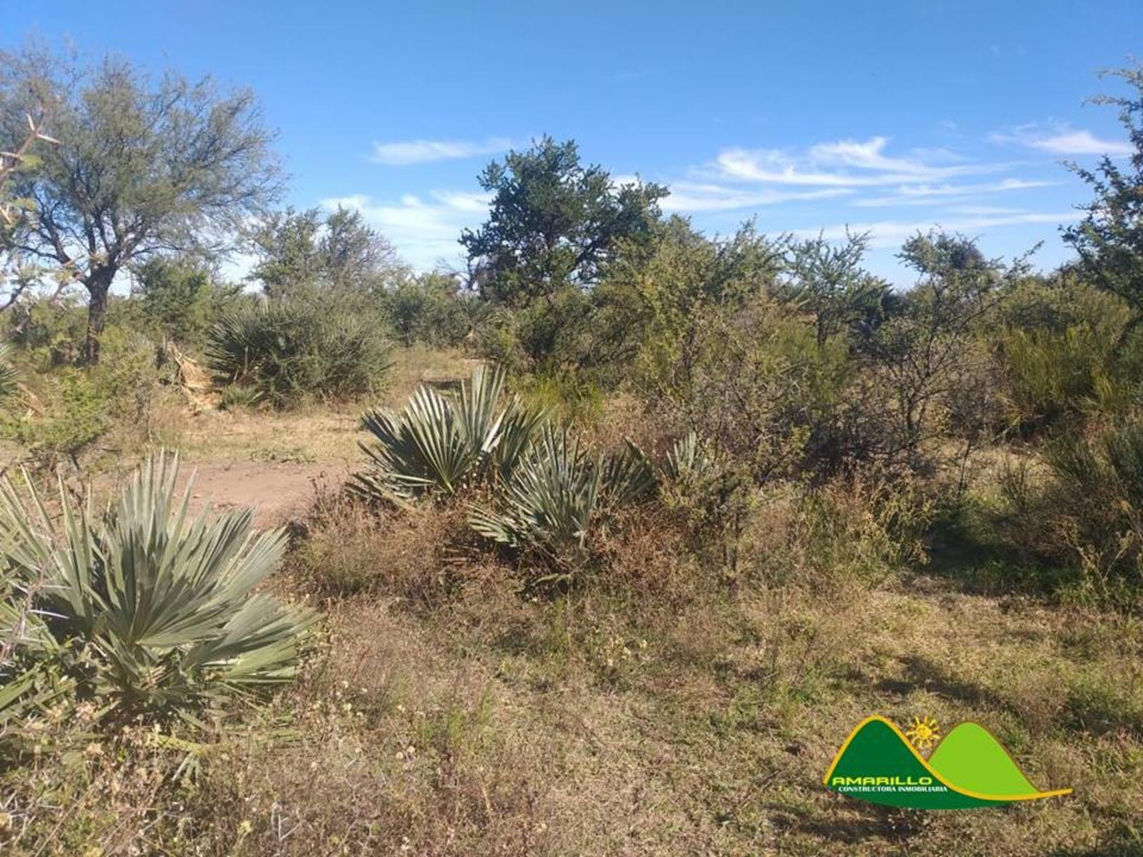 OPORTUNIDAD TERRENO EN PAPAGAYOS - 6