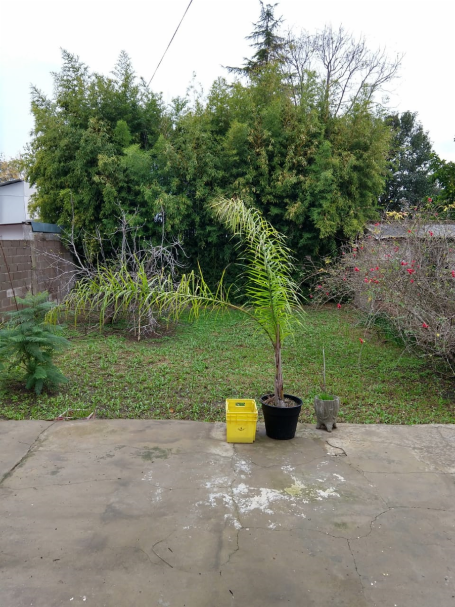 Casa a la venta en excelente zona de bella vista — foto 15