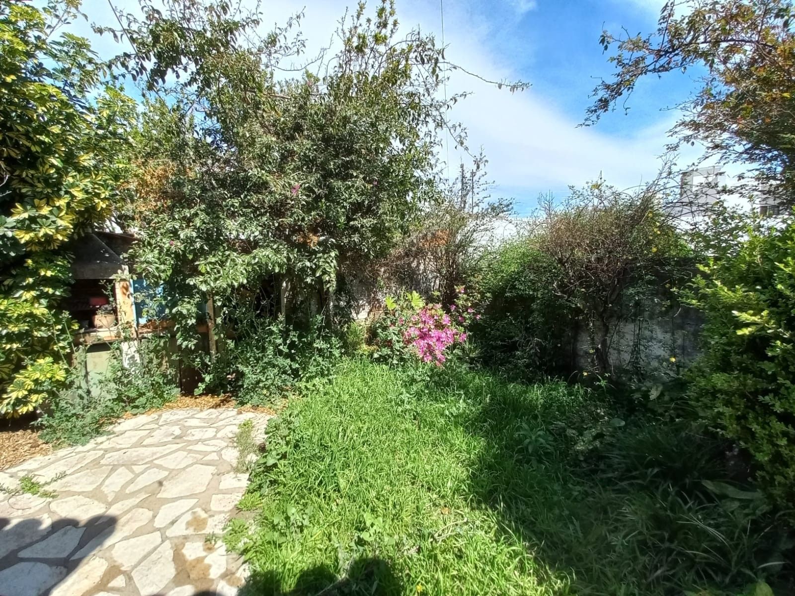 Chalet A Reciclar 3 Y 1/2 Amb. En B° Guemes Oportunidad Nuevo Precio — foto 12