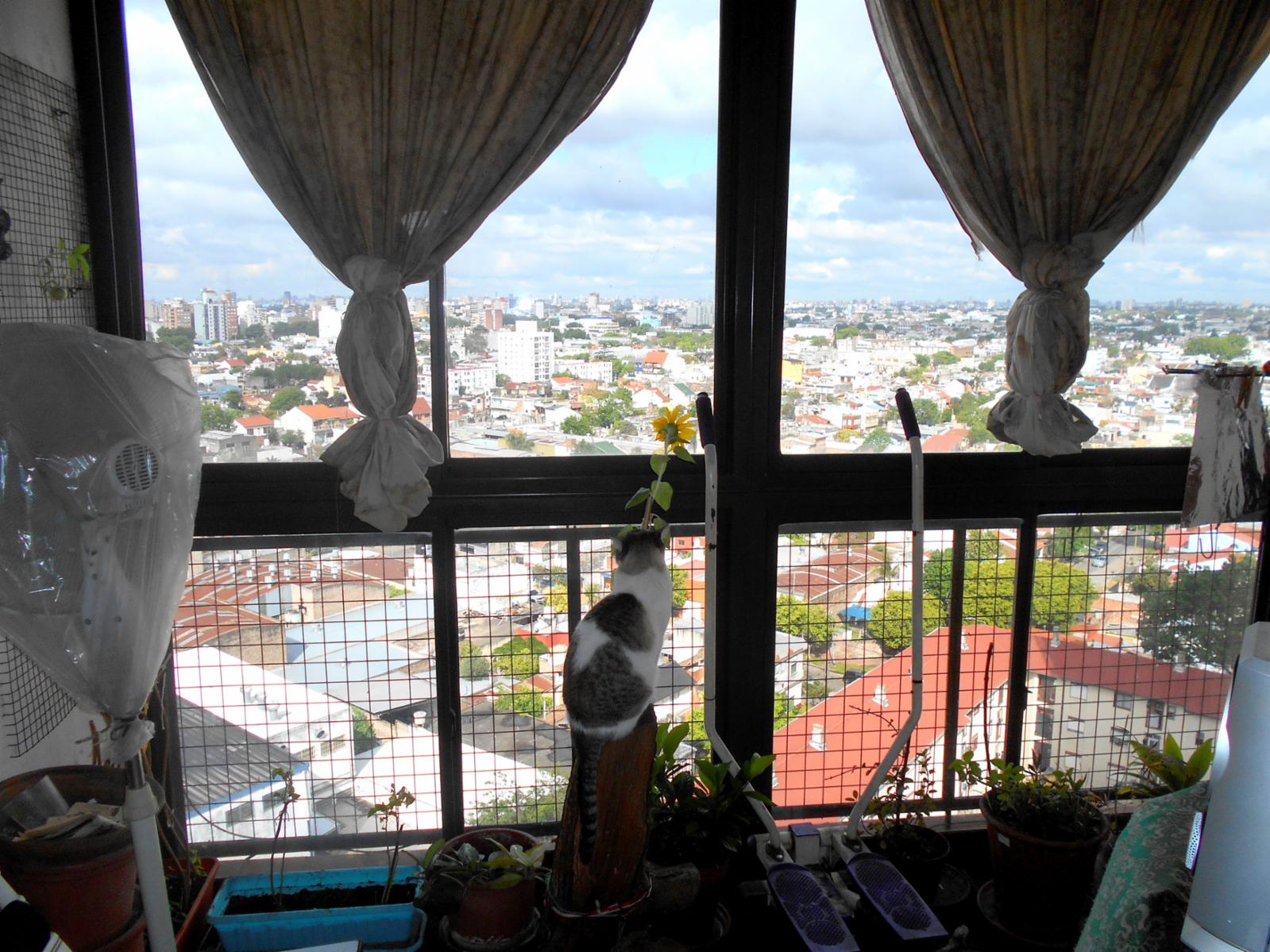 San Martin Exclusiva Torre, Excelente depto.&quotApto Credito&quot — foto 7