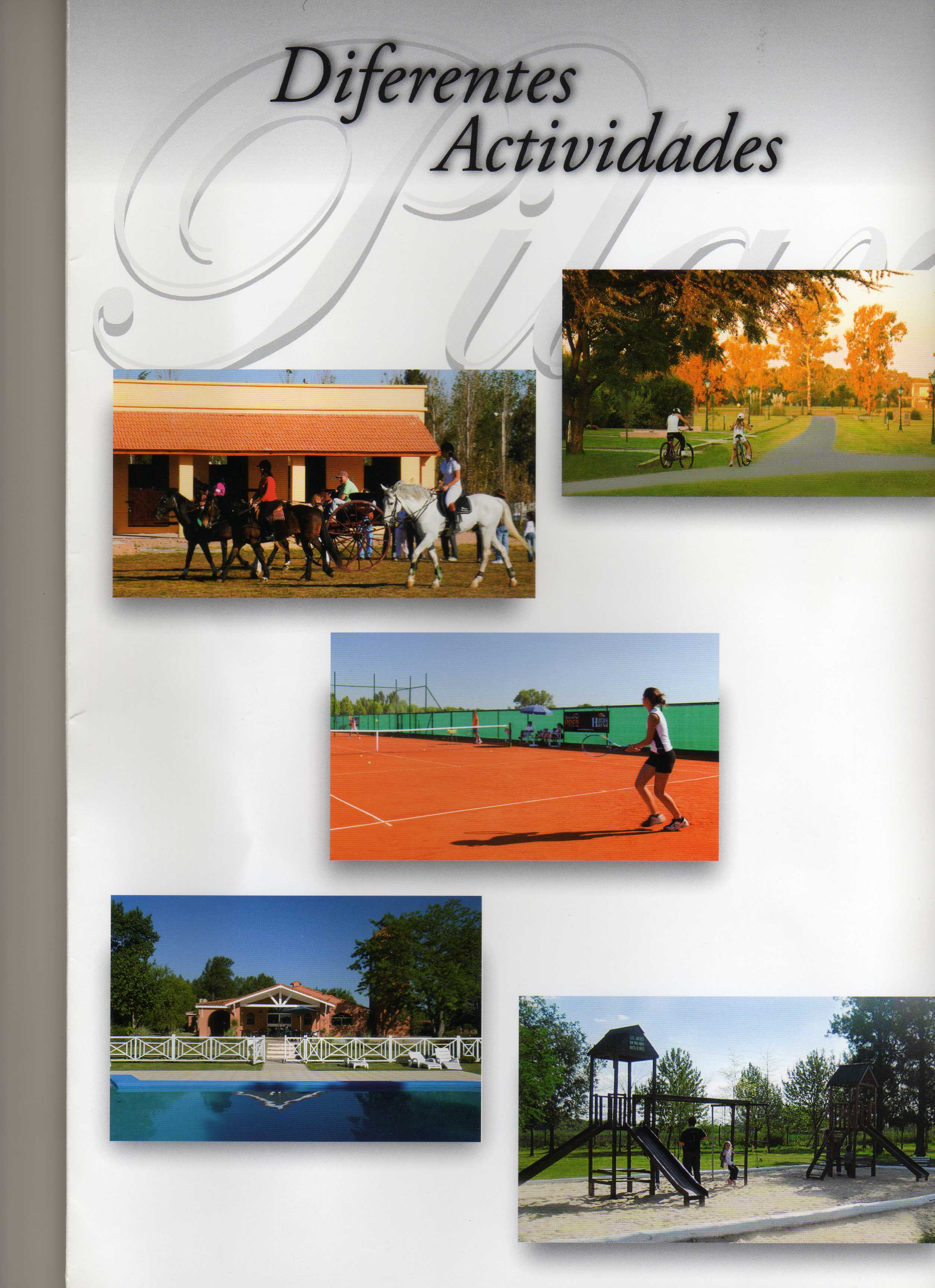 Haras del Sol slow place, Pilar Chico — foto 3