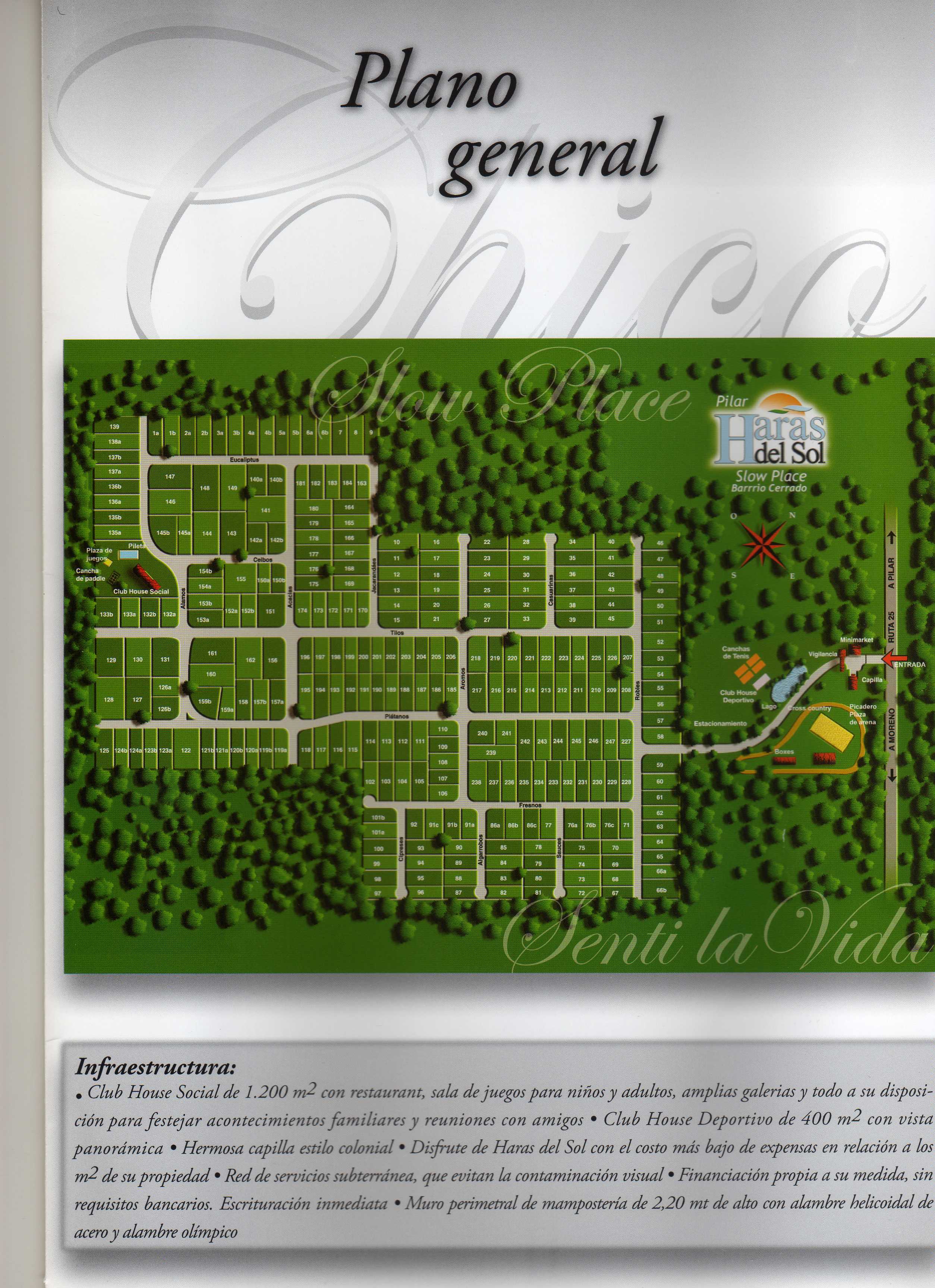 Haras del Sol slow place, Pilar Chico — foto 5