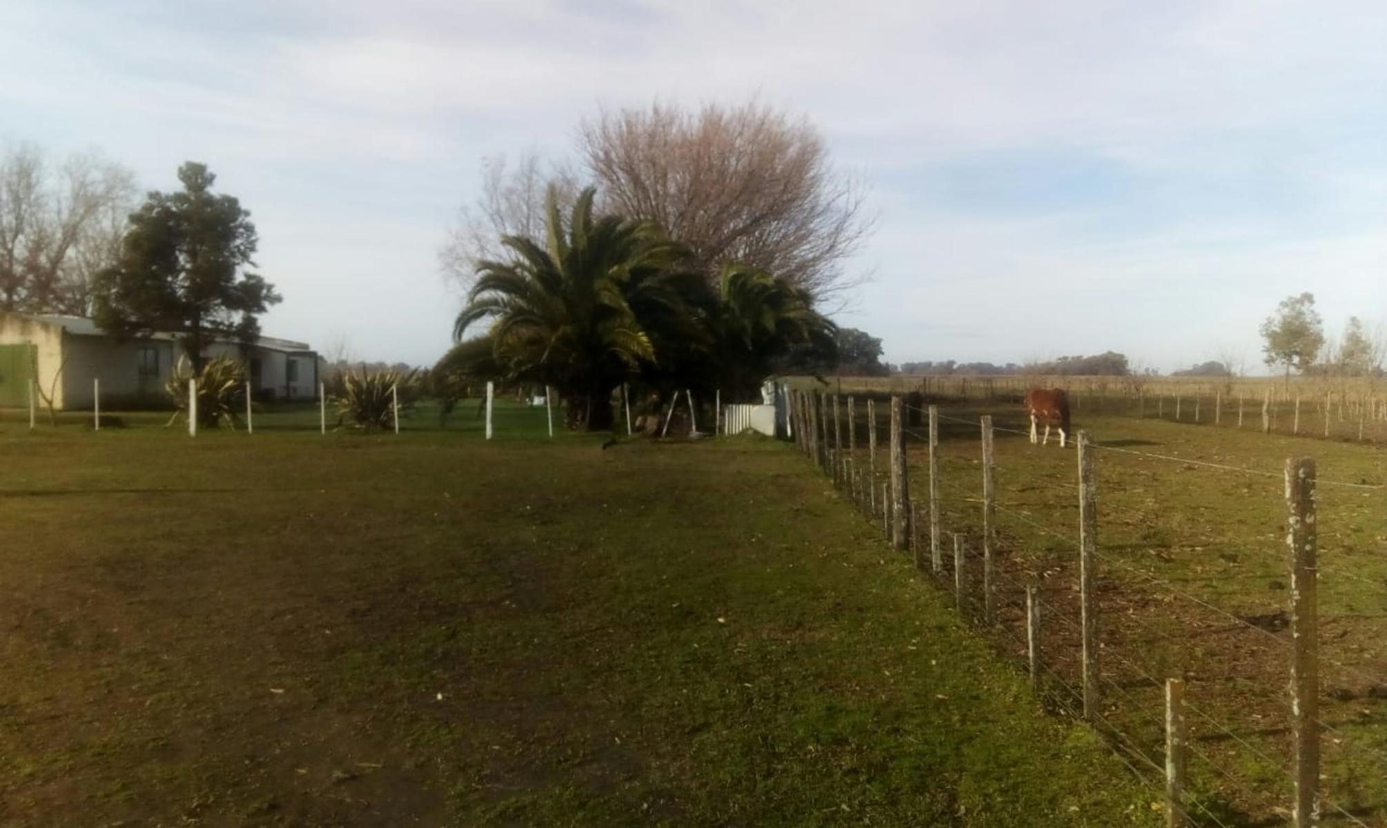 Excelente Campo 94 Agricola. Imperdible - 1