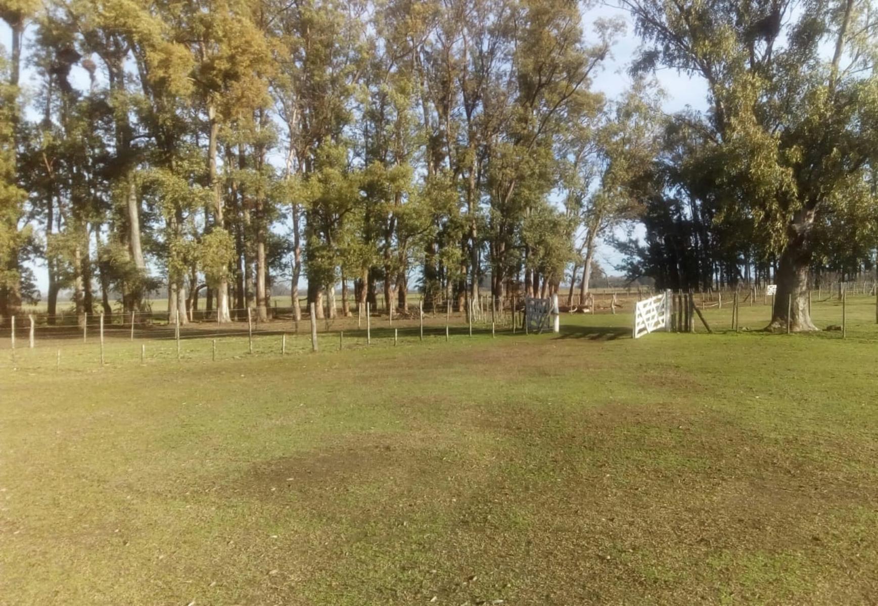 Excelente Campo 94 Agricola. Imperdible — foto 2
