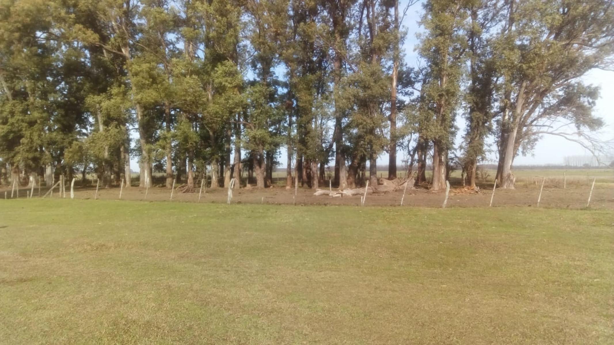 Excelente Campo 94 Agricola. Imperdible — foto 3