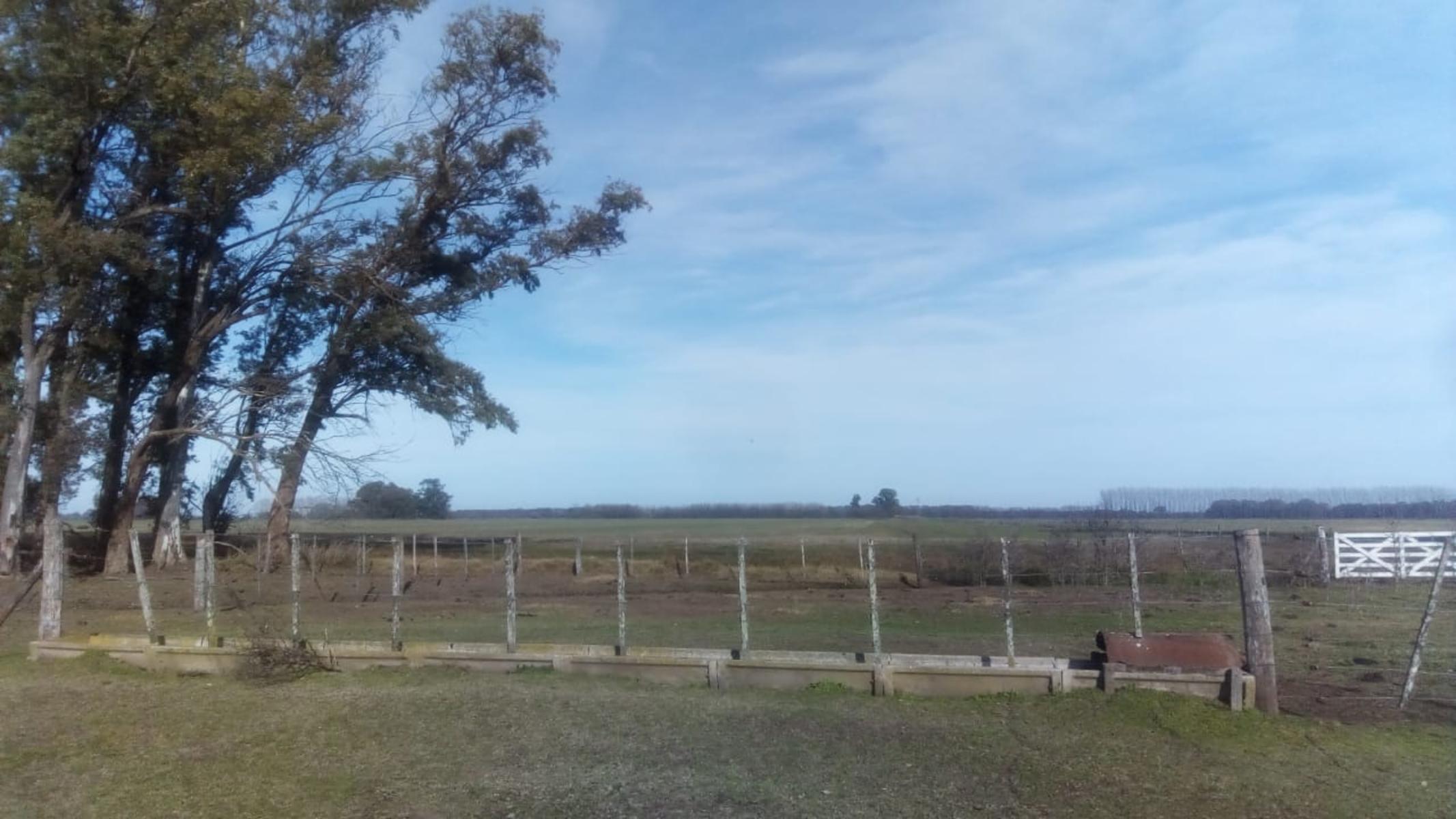 Excelente Campo 94 Agricola. Imperdible — foto 4