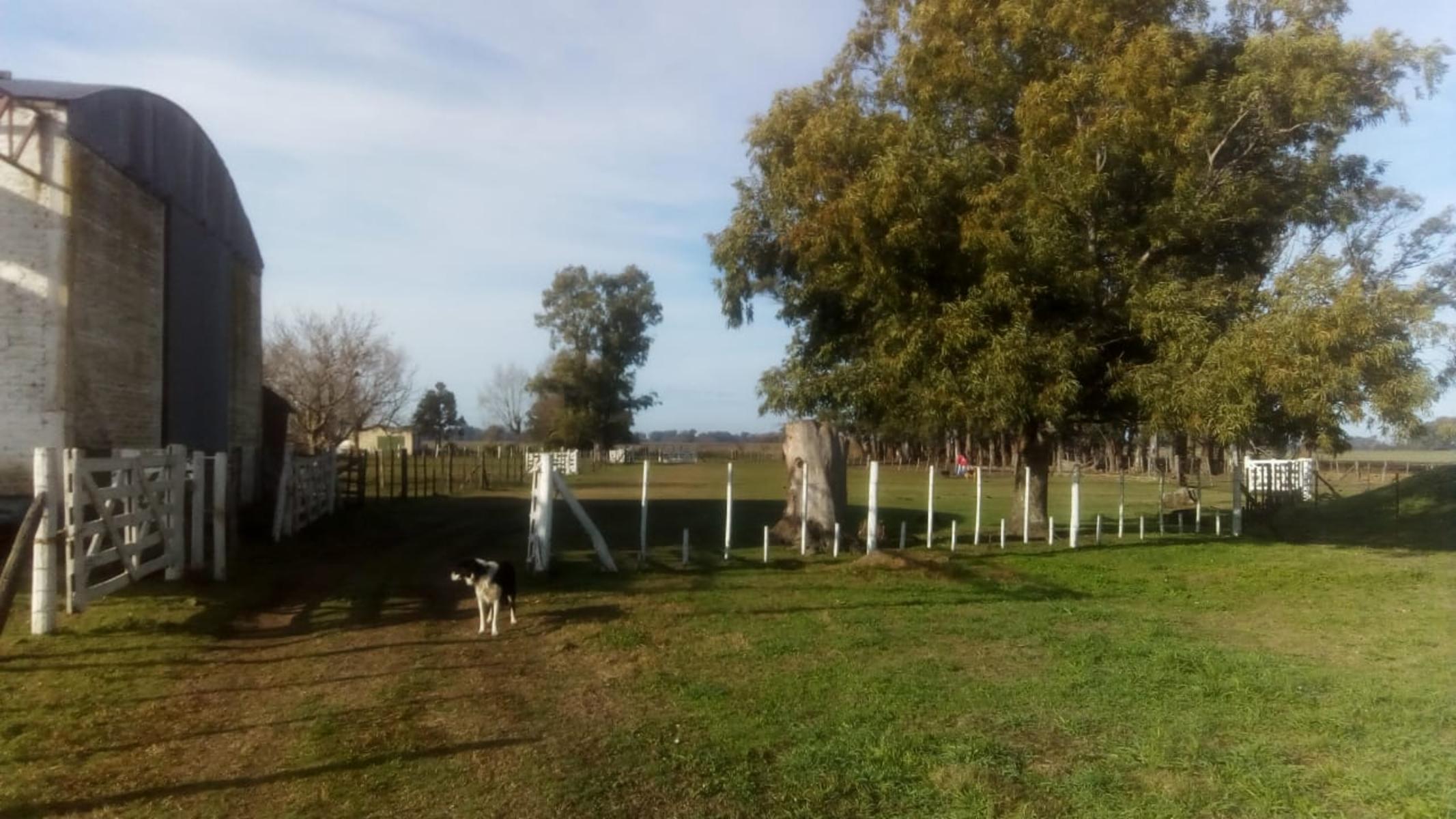 Excelente Campo 94 Agricola. Imperdible — foto 5
