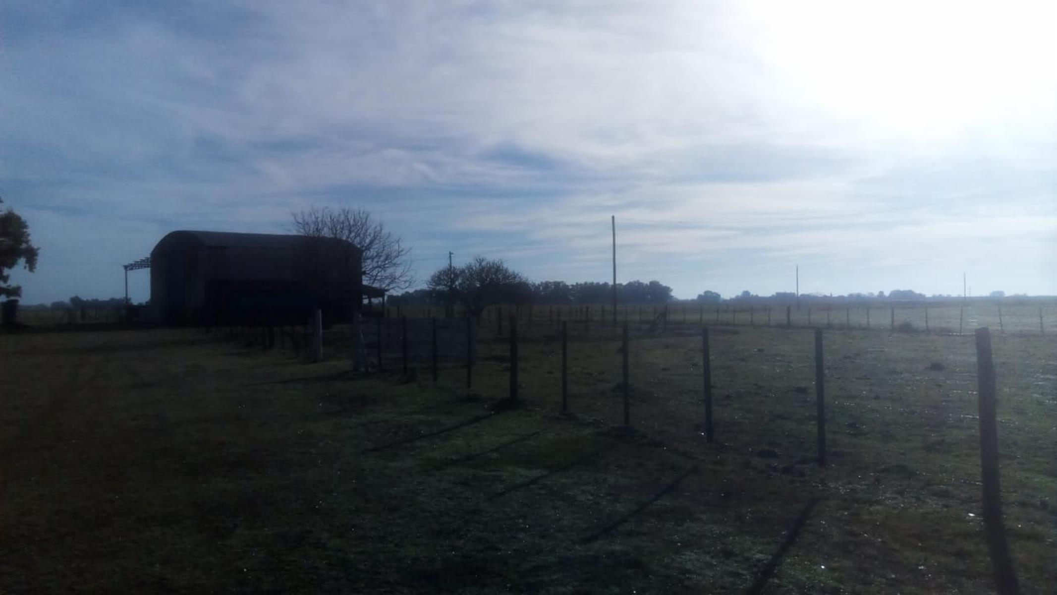 Excelente Campo 94 Agricola. Imperdible — foto 6
