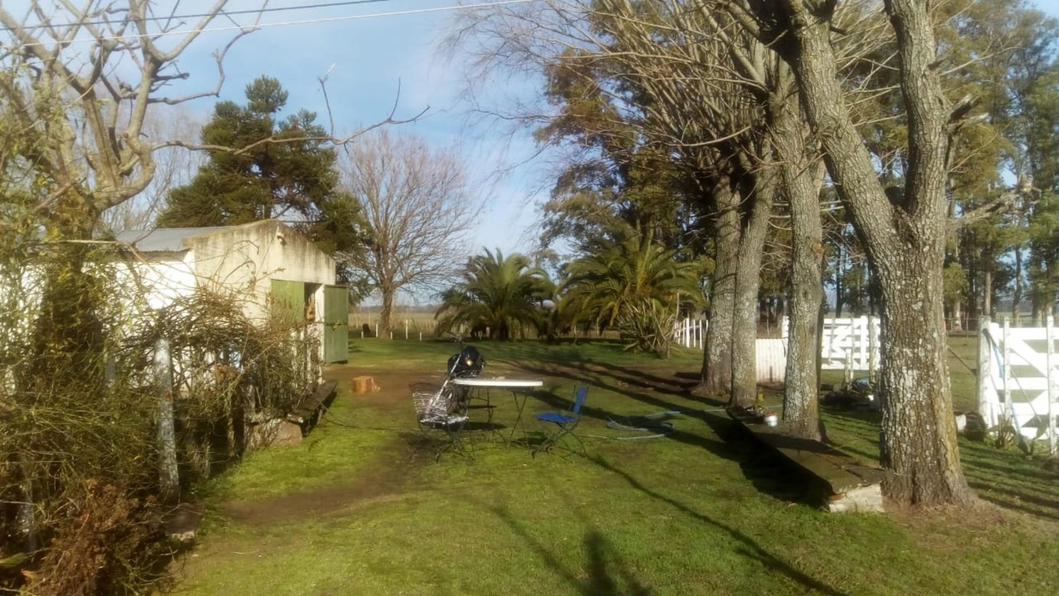 Excelente Campo 94 Agricola. Imperdible — foto 8