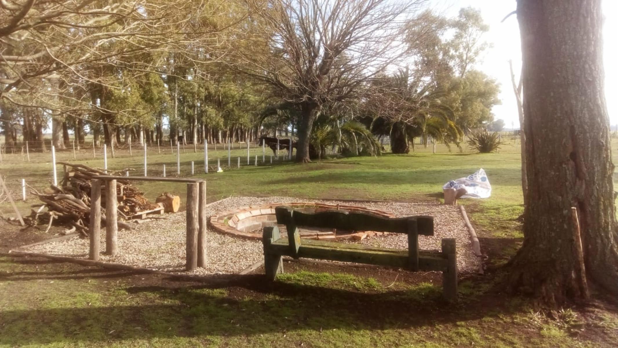 Excelente Campo 94 Agricola. Imperdible — foto 9