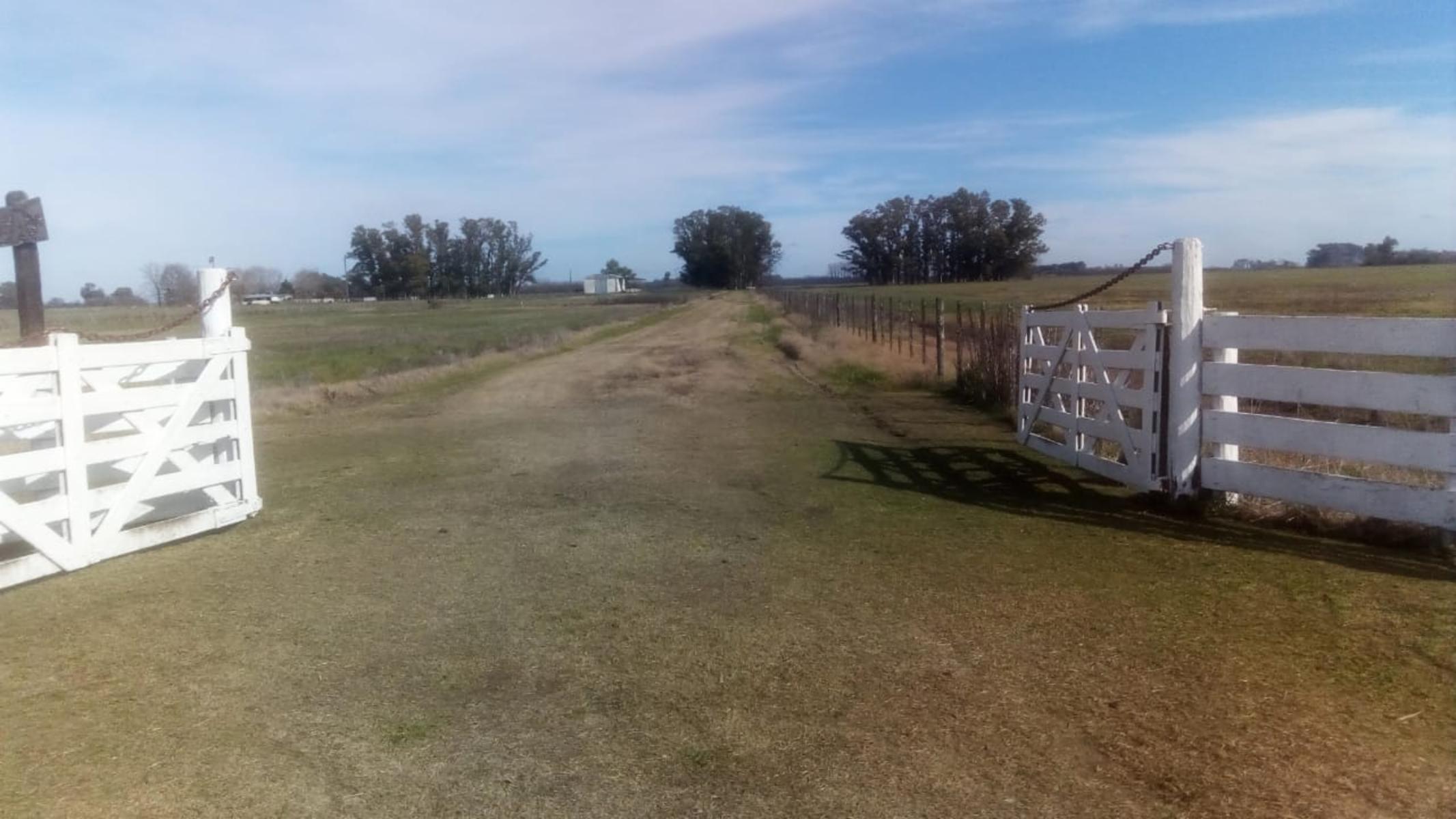 Excelente Campo 94 Agricola. Imperdible — foto 10