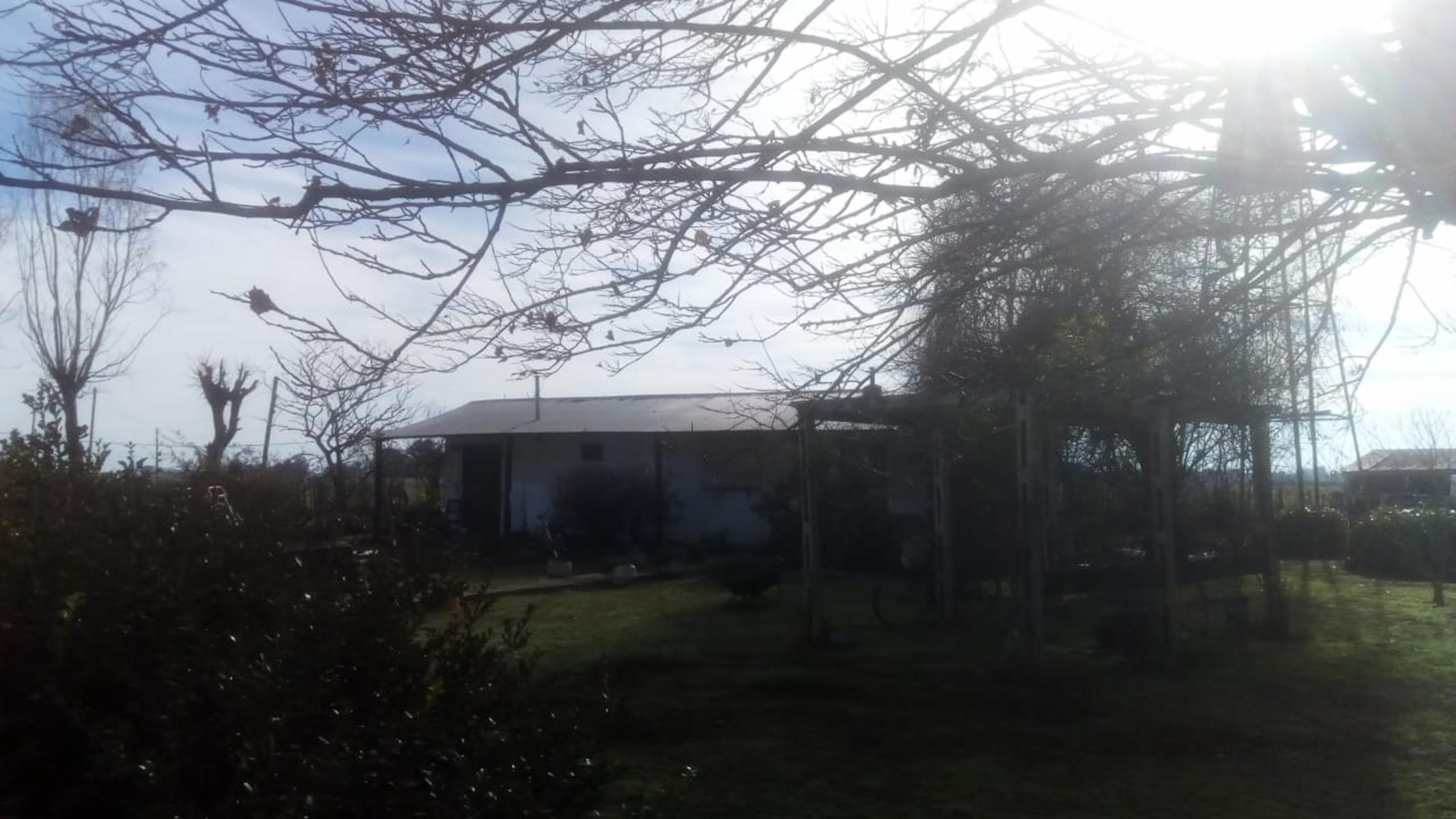 Excelente Campo 94 Agricola. Imperdible — foto 11