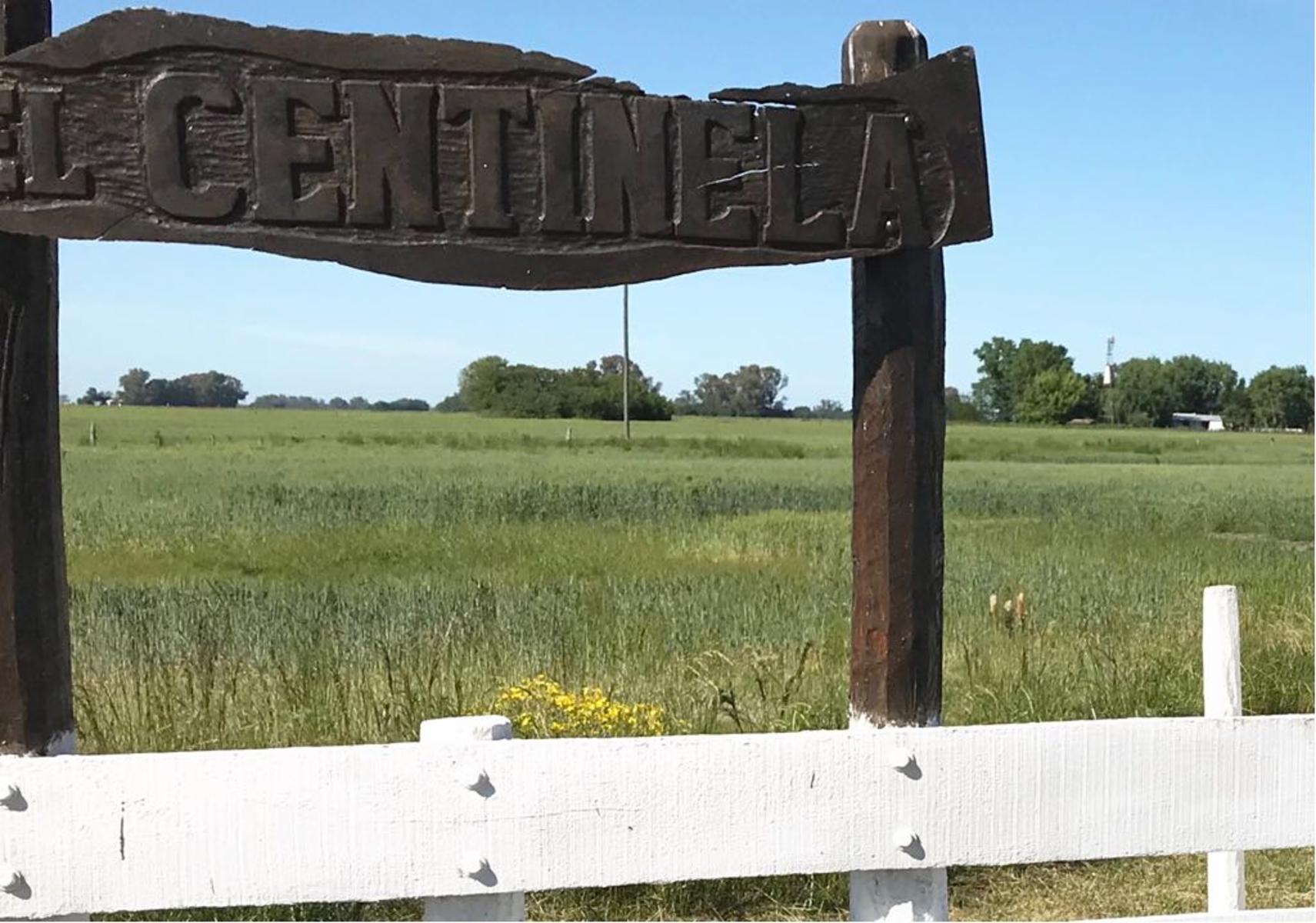 Excelente Campo 94 Agricola. Imperdible — foto 12